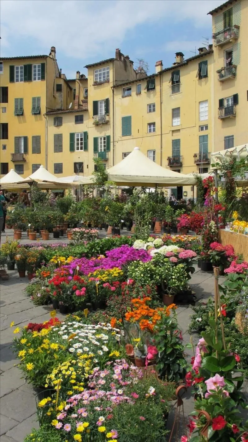 Other in BeB Angelini dal 1911