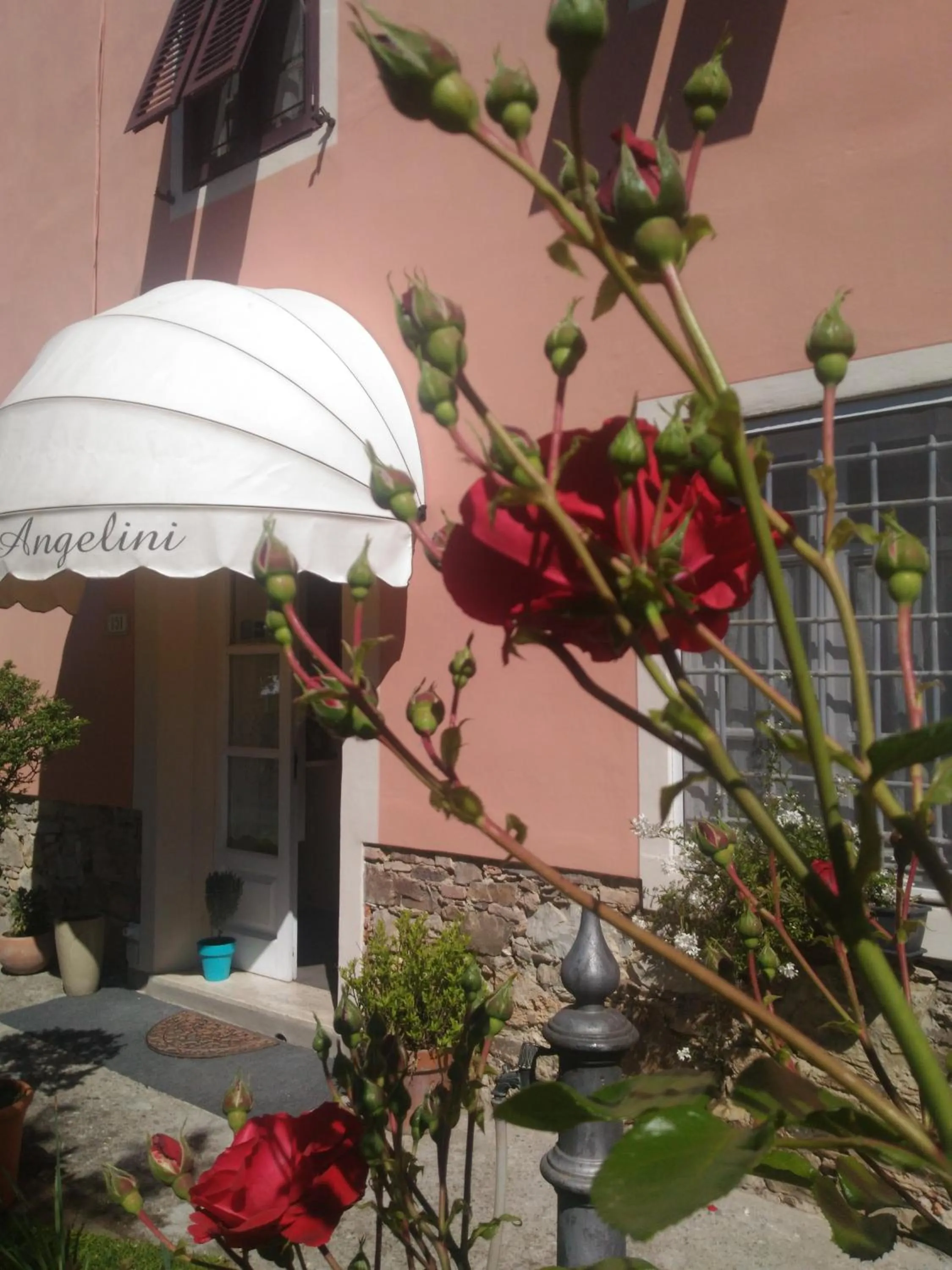 Property building in BeB Angelini dal 1911