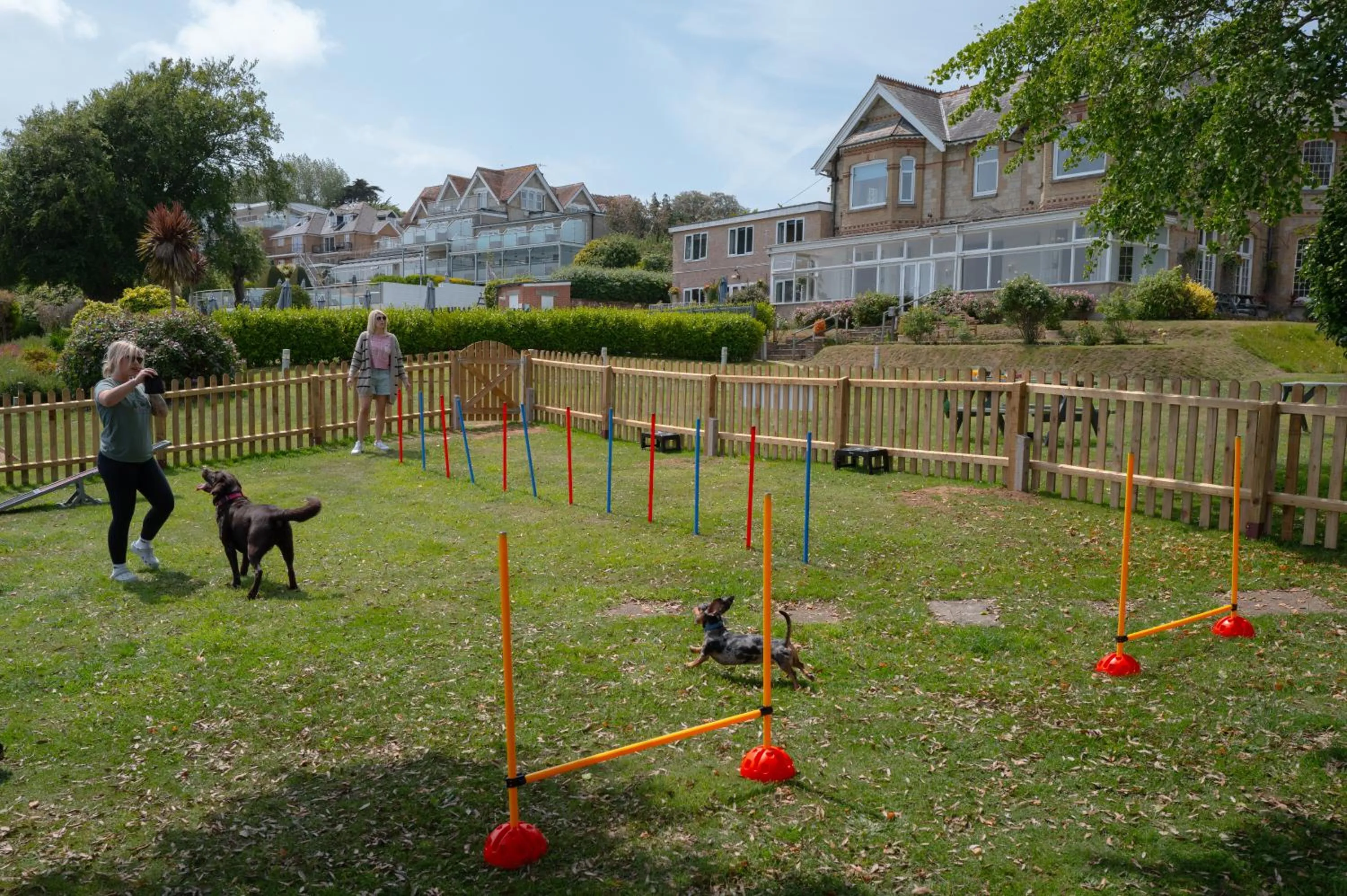 Pets in Luccombe Manor Country House Hotel