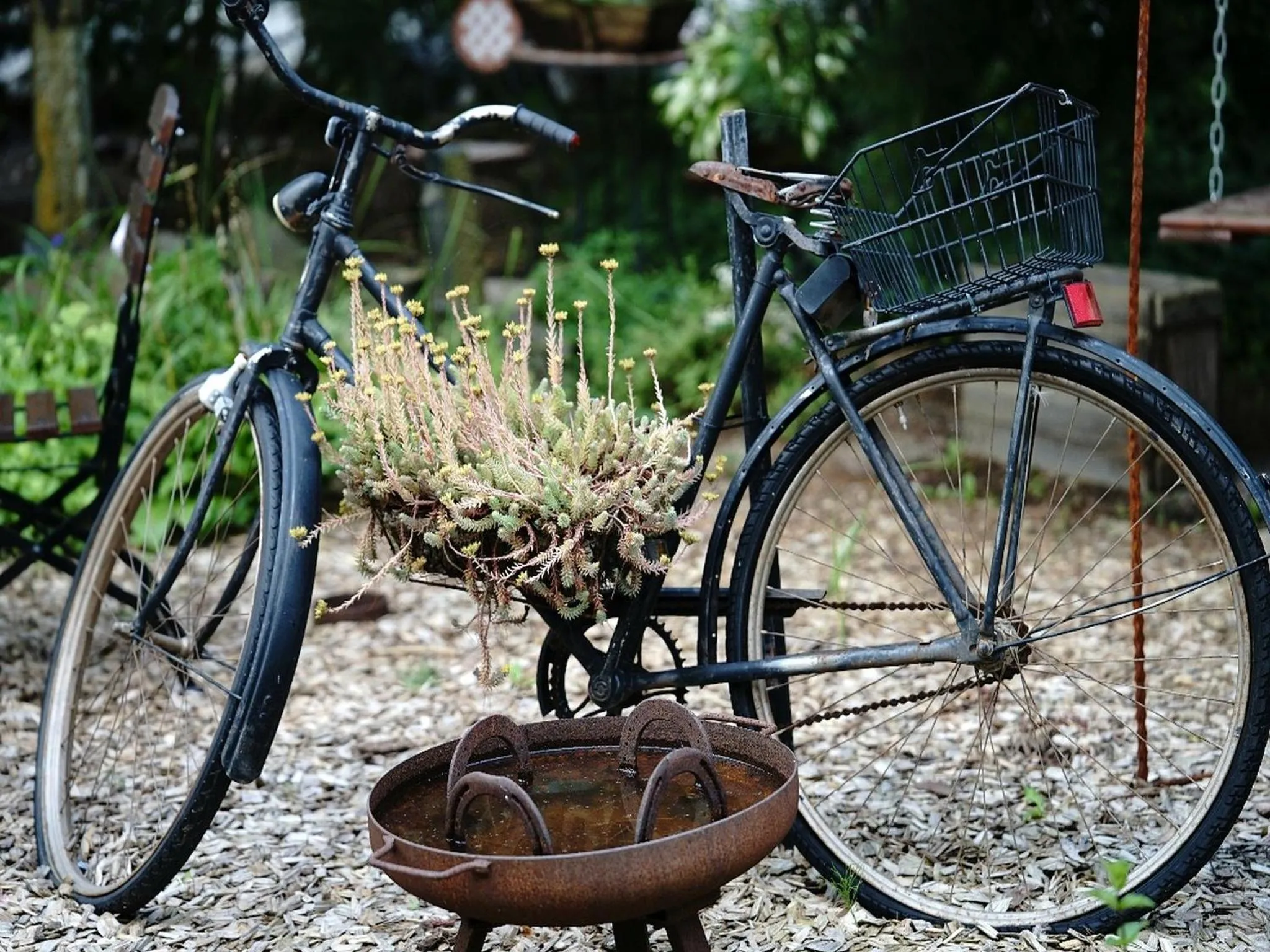 Restaurant/places to eat in Usedom Bike Hotel & Suites