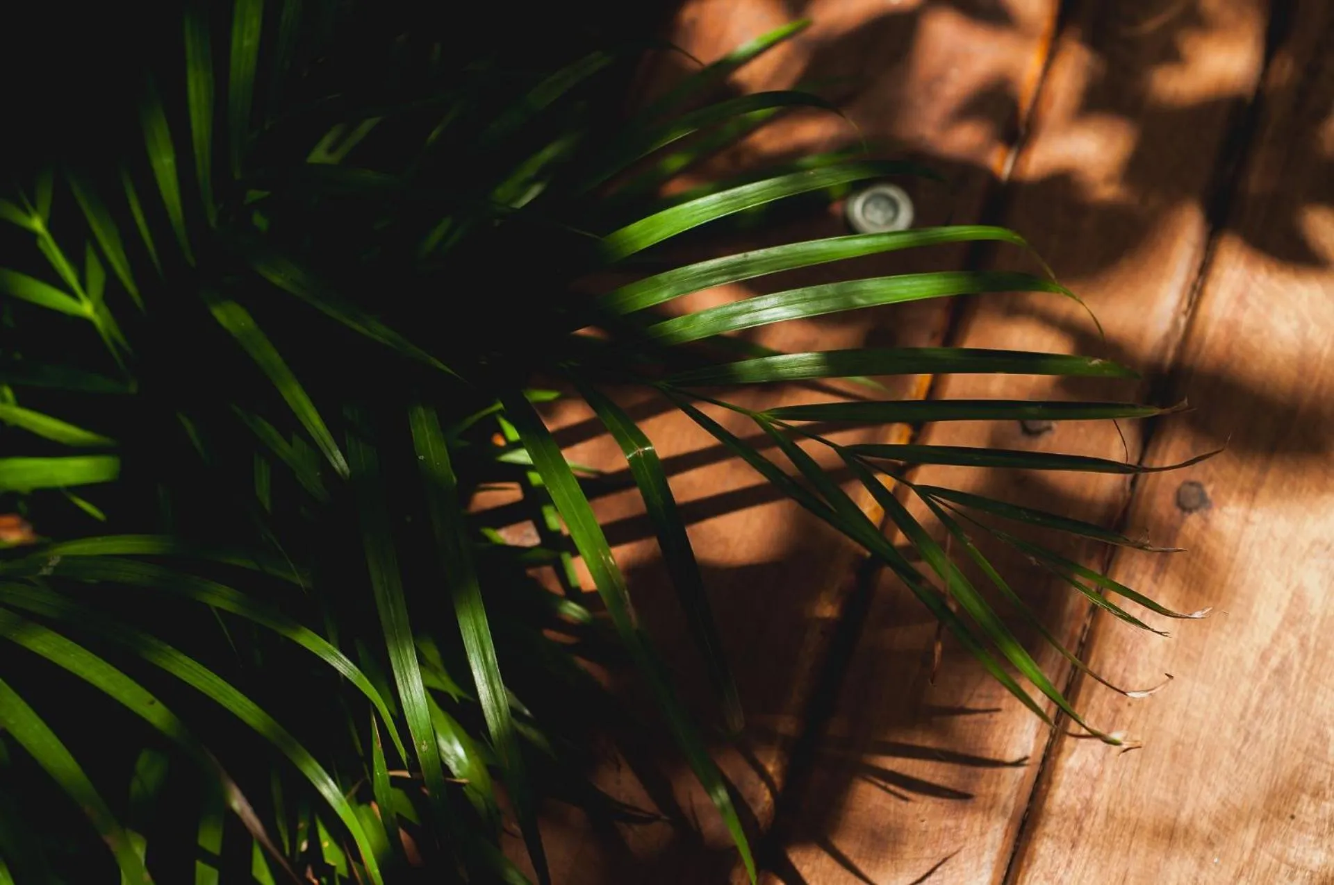 Patio in Jungle Chic Villa in Chemuyil