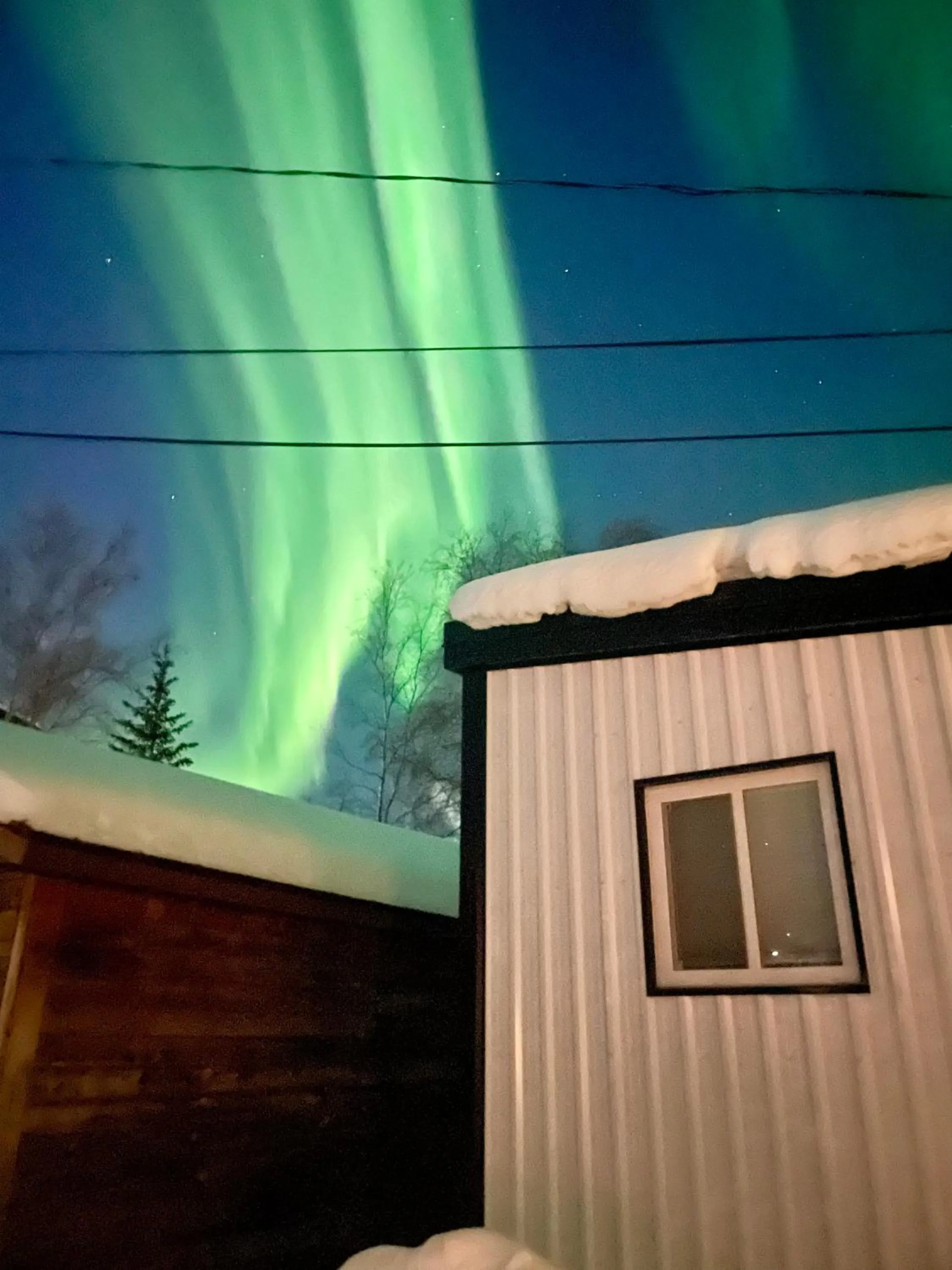 Our Cabin Bed & Breakfast