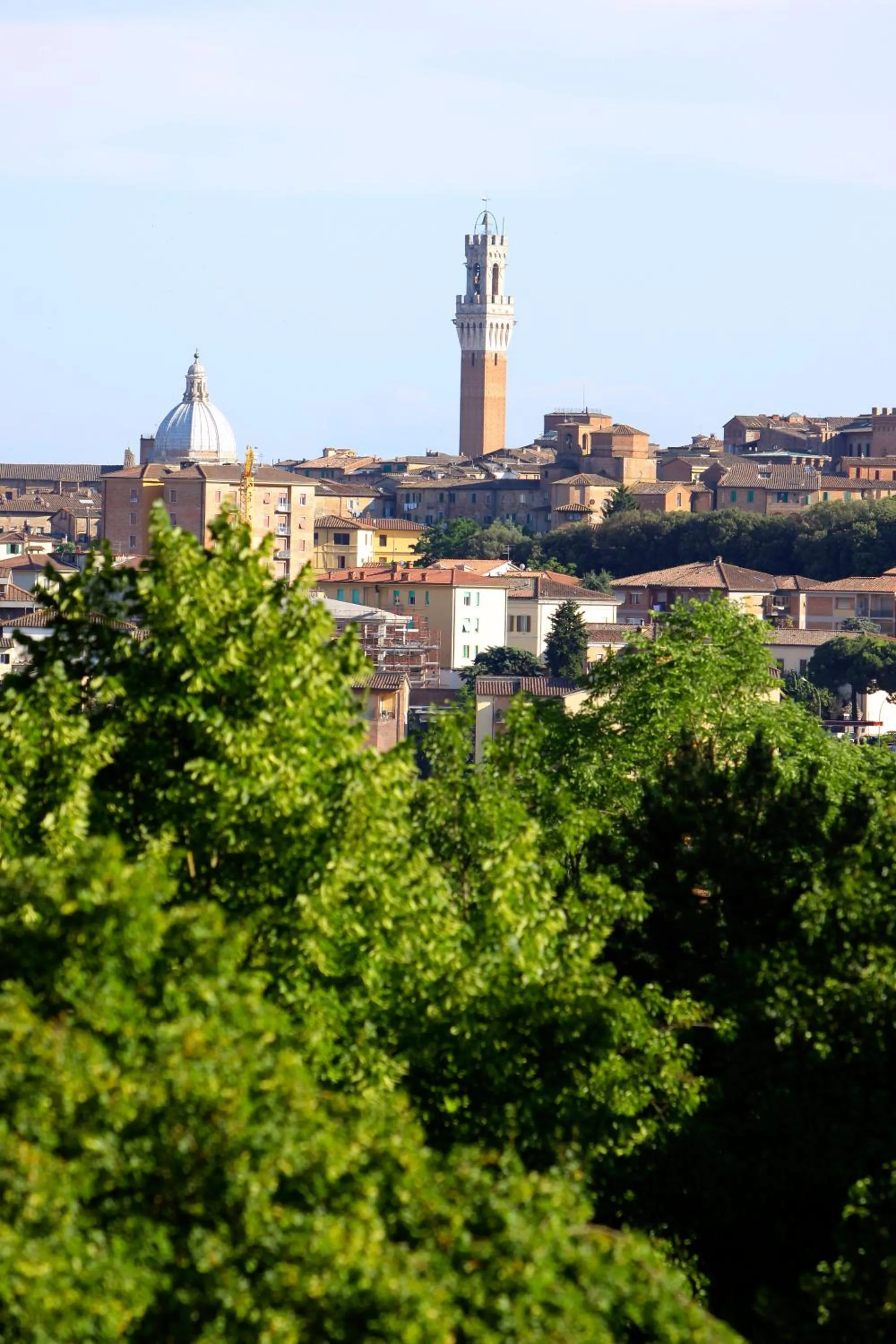 Area and facilities in Camping Siena Colleverde