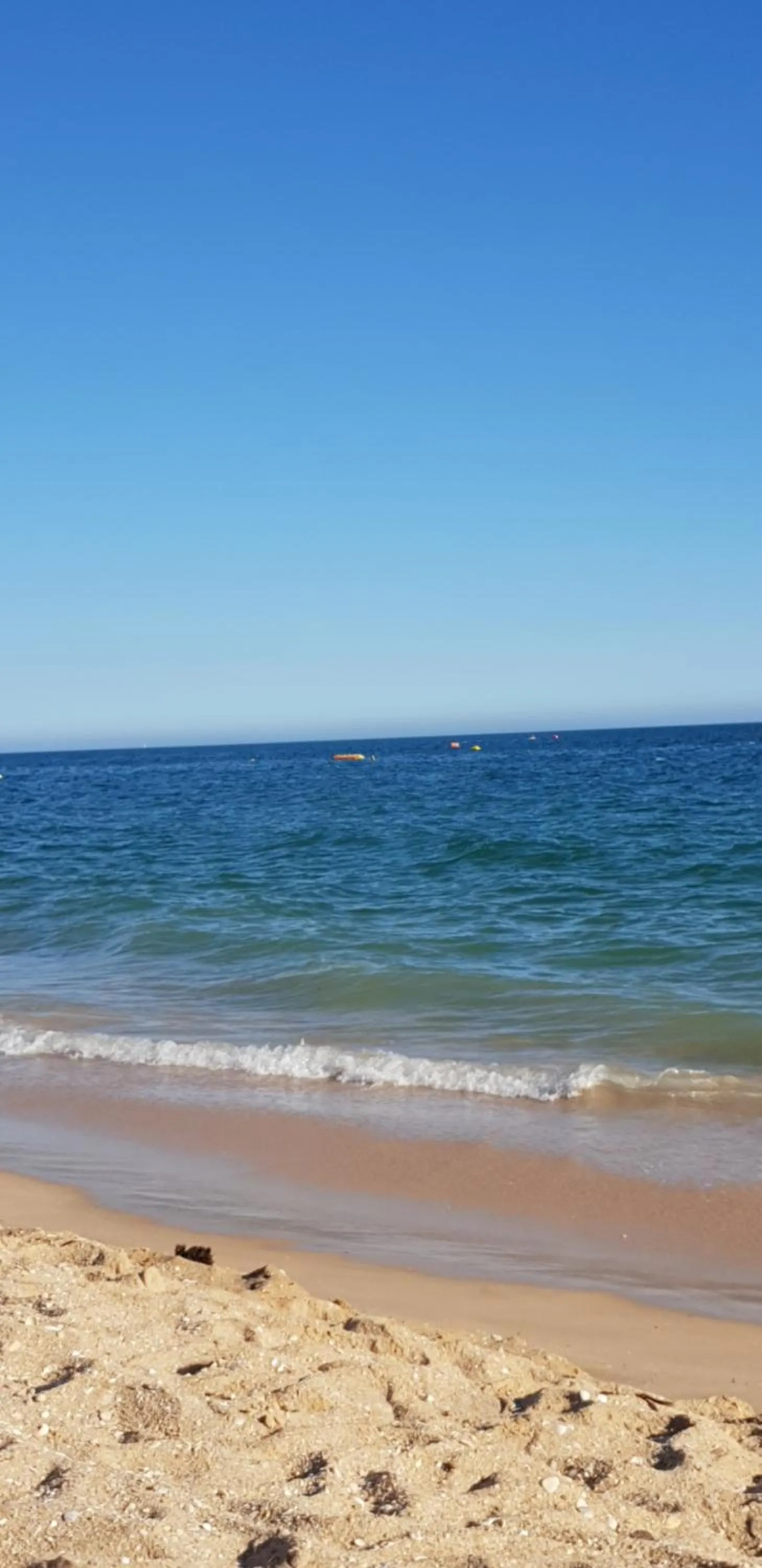 Apartment in Marina Biarrits