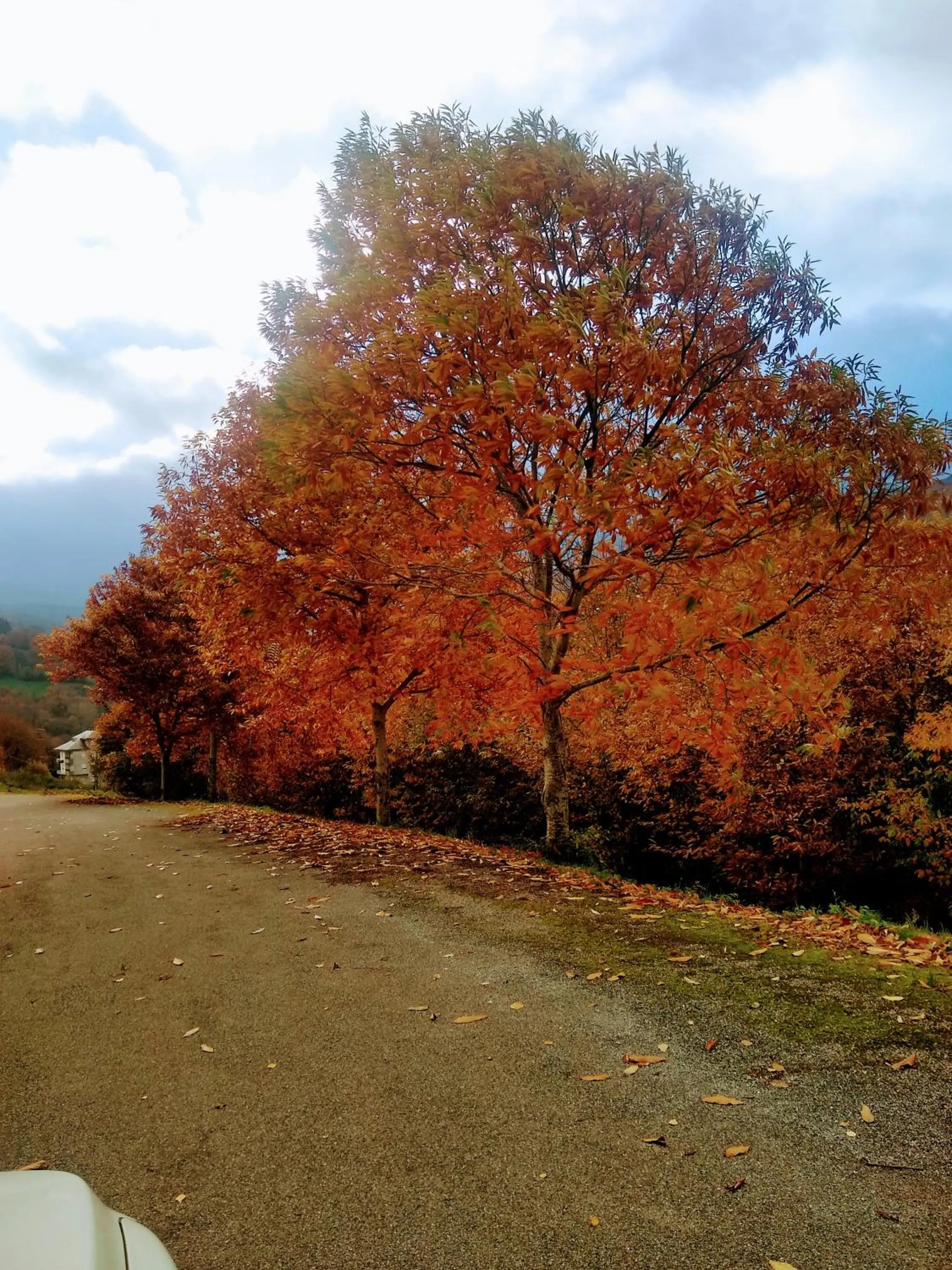 Spring in Casa Pacios by M de Santiago