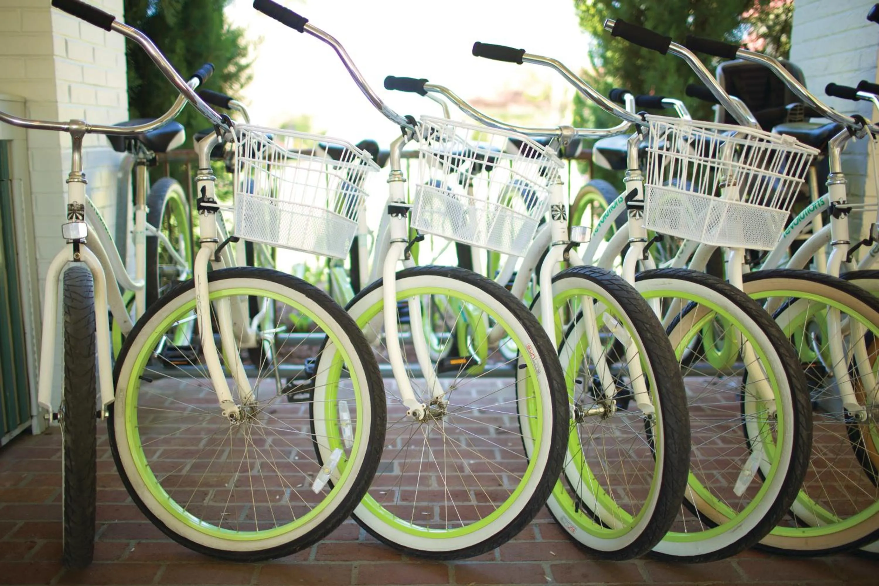 Activities in The Tides Inn