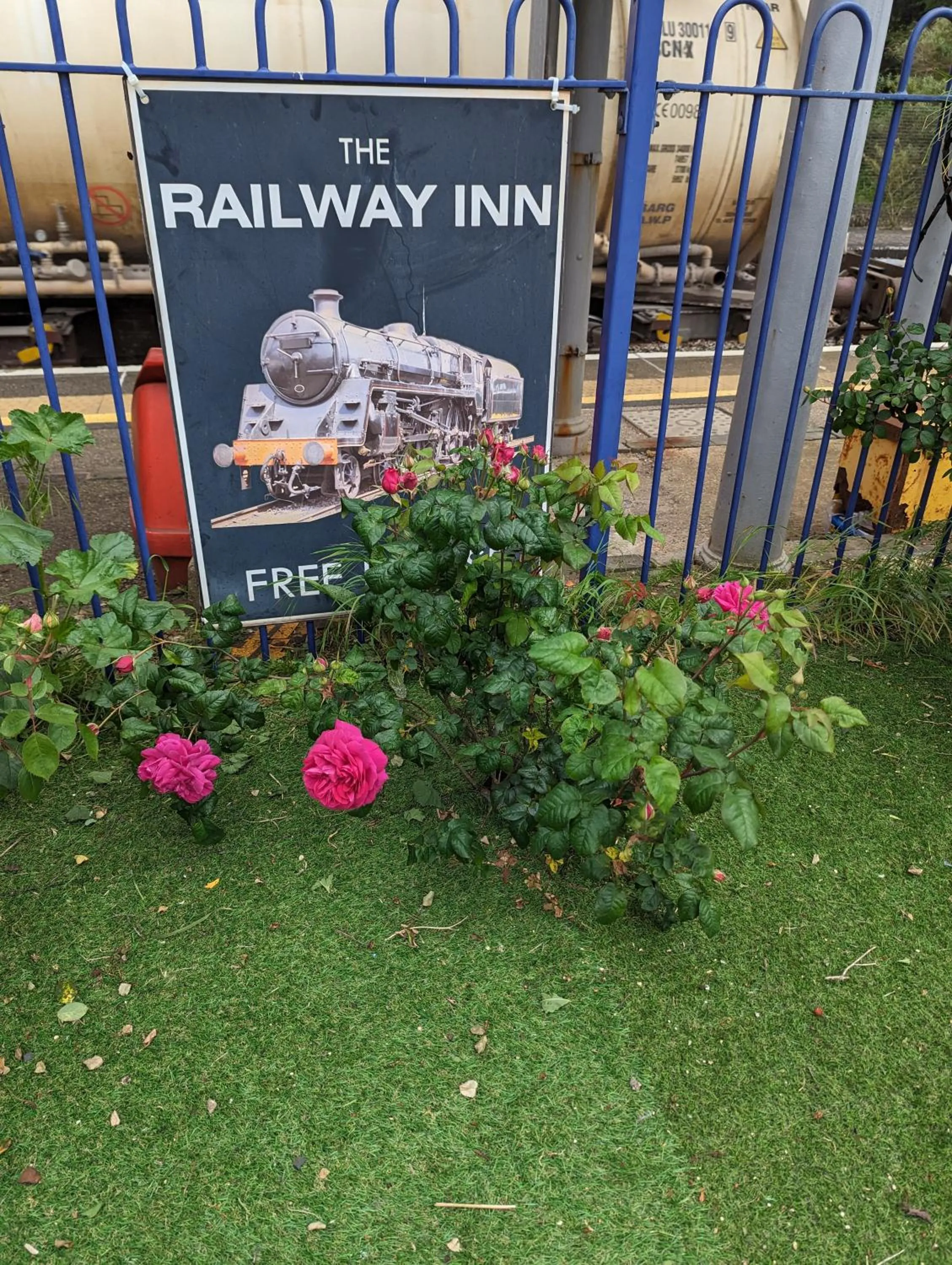 Garden view in Railway Inn