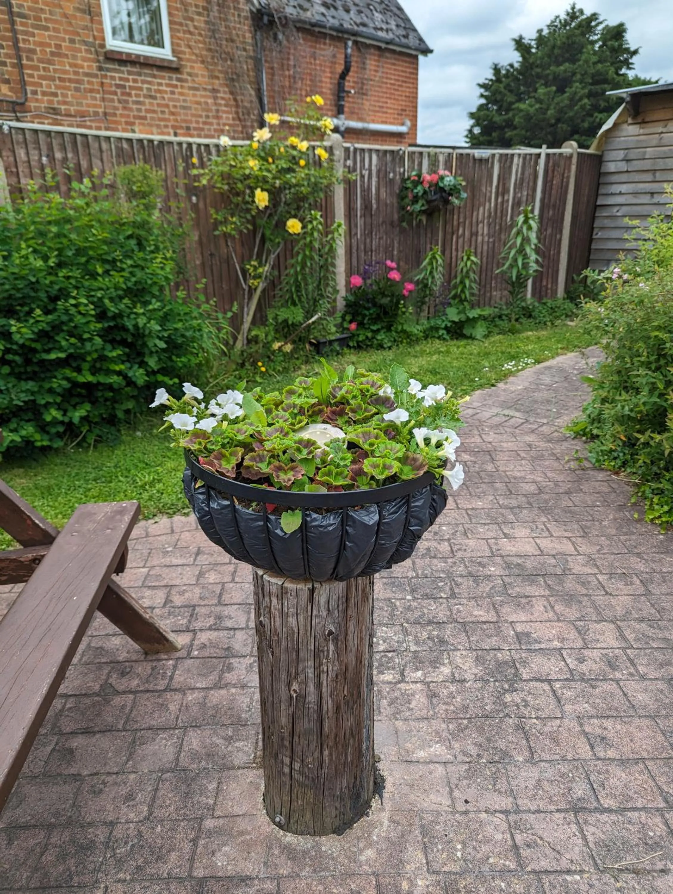 Garden in Railway Inn