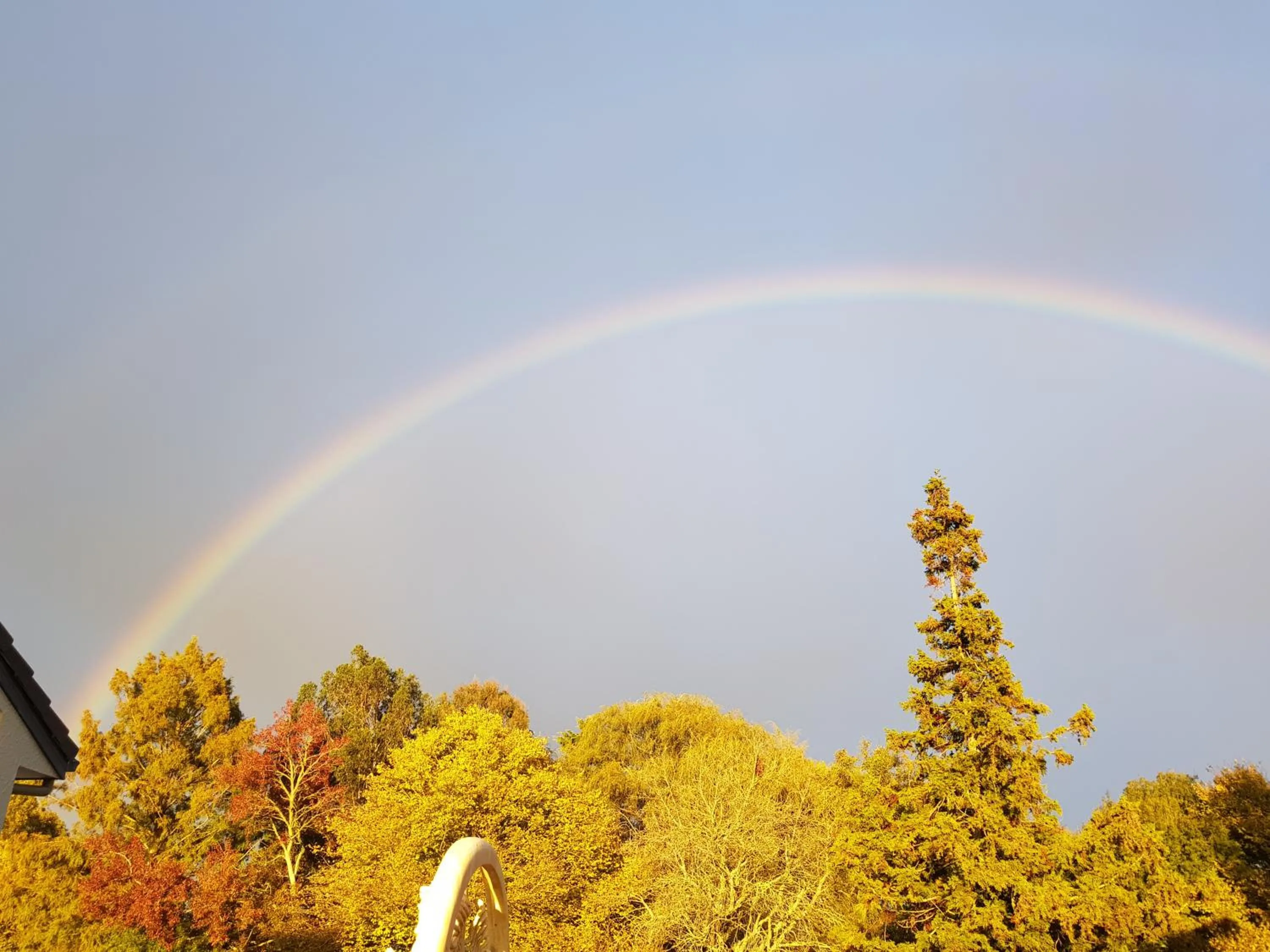 Property building in Bruntwoodlodge