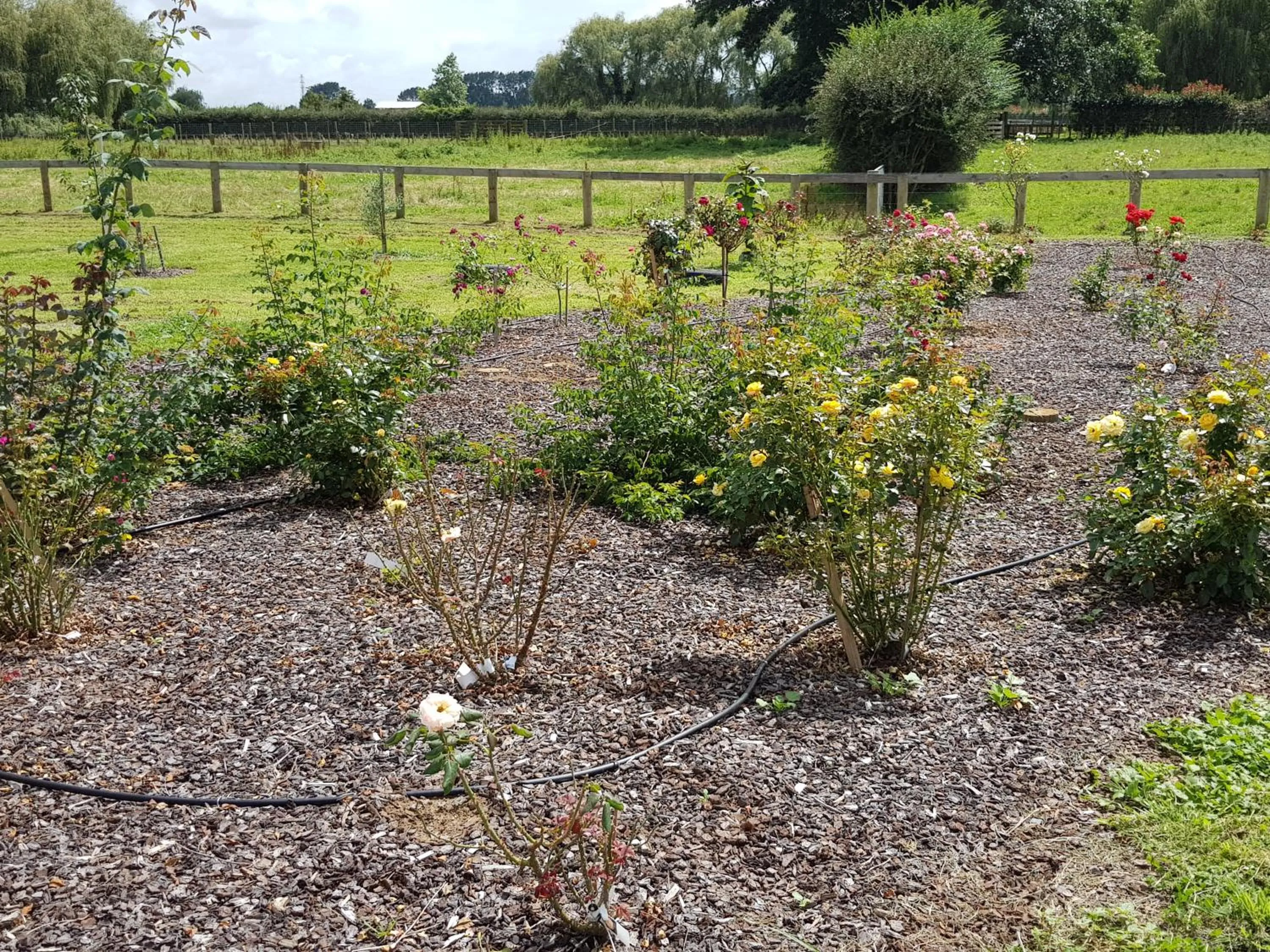Garden in Bruntwoodlodge