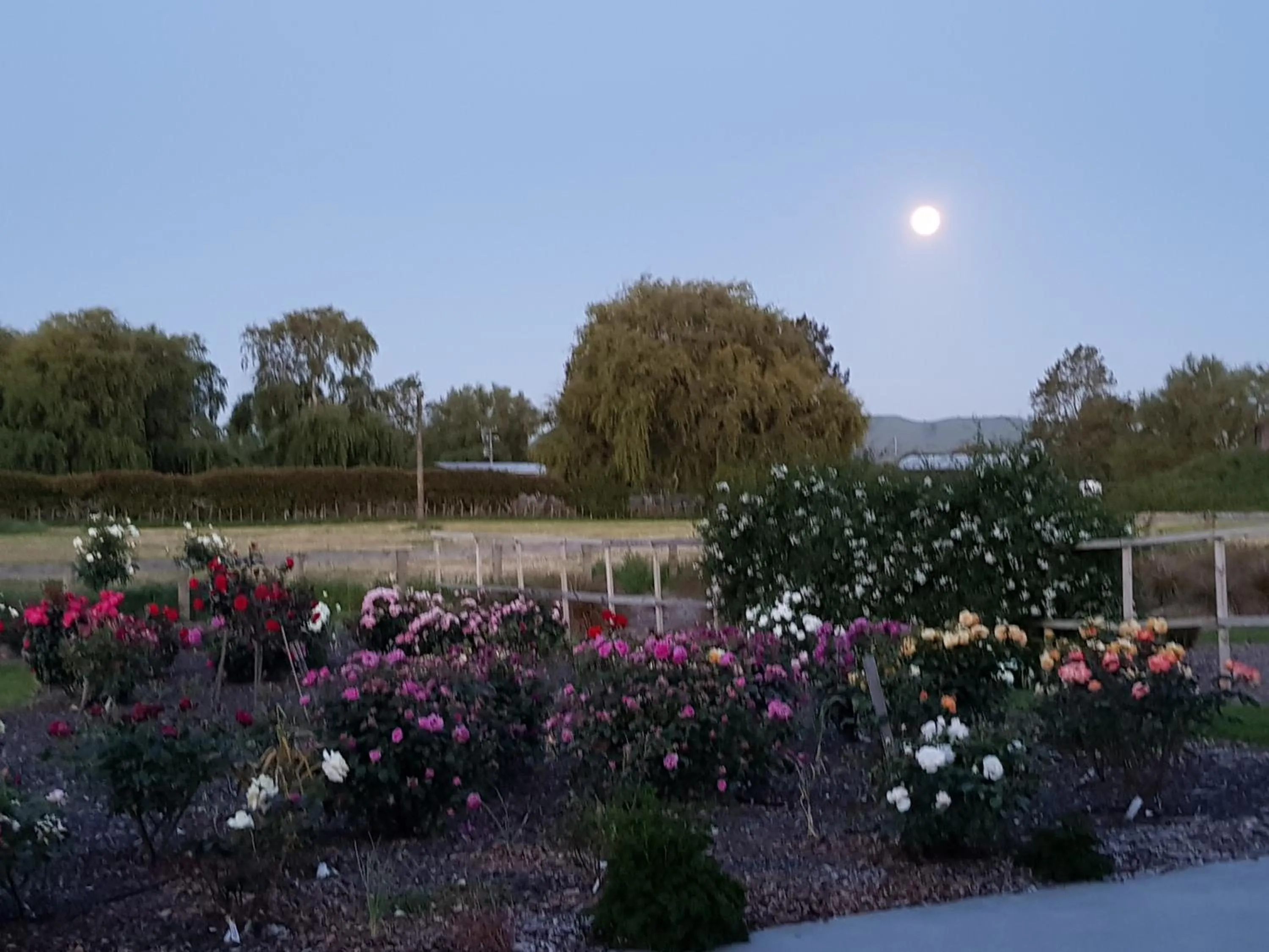 Garden in Bruntwoodlodge