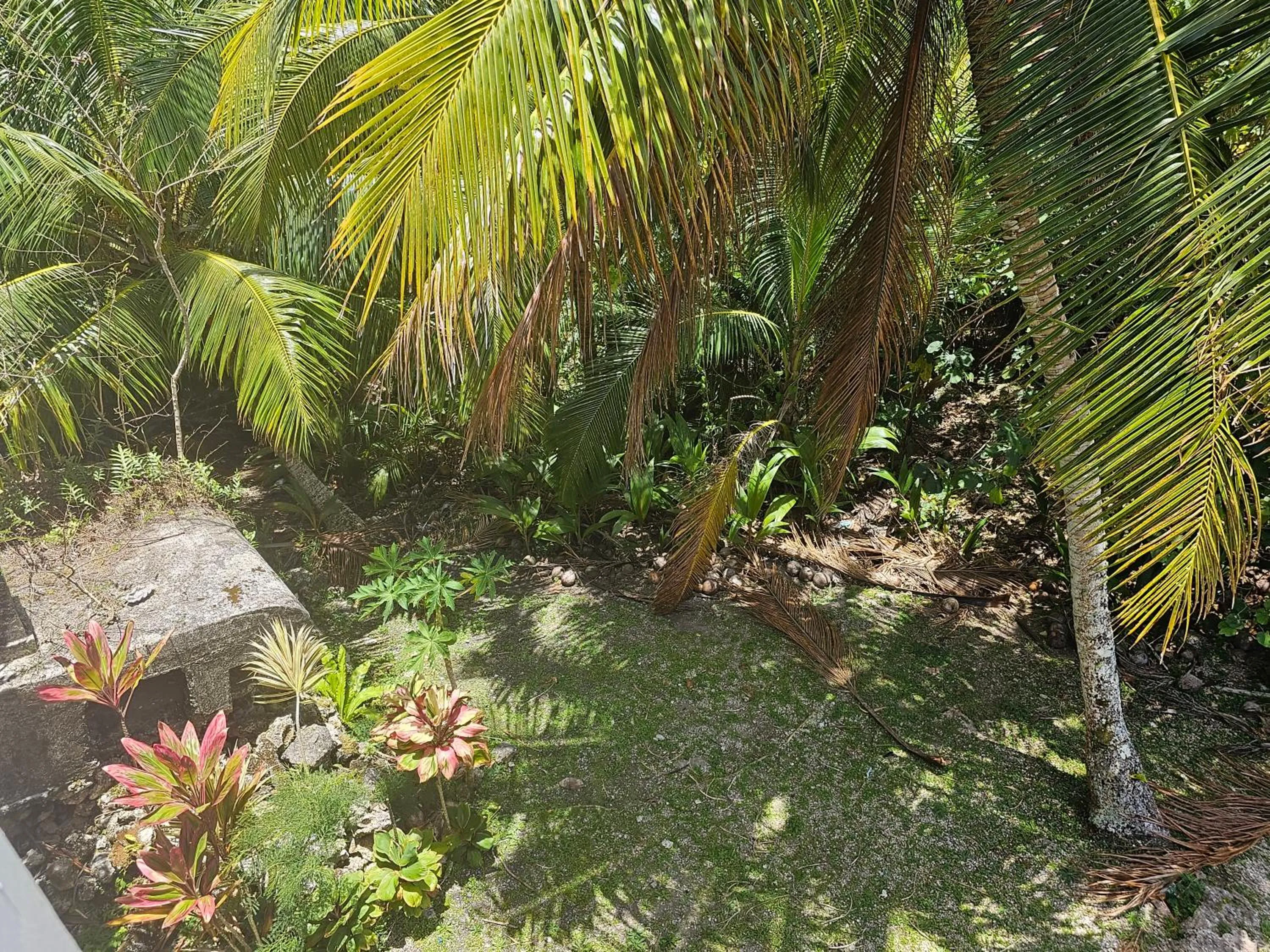 Natural landscape in Heleni Jessop's Fatahega