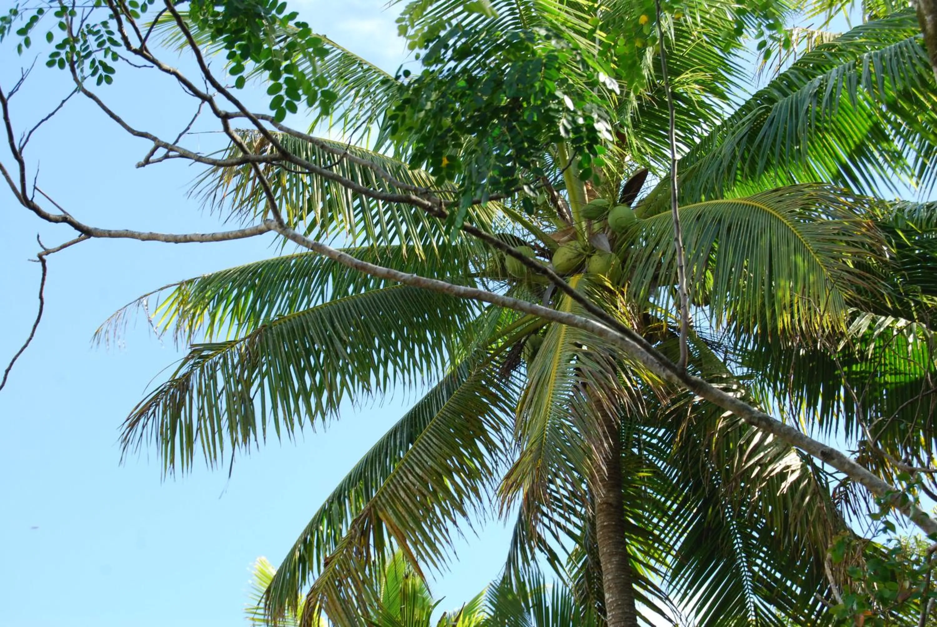 Natural landscape in Heleni Jessop's Fatahega
