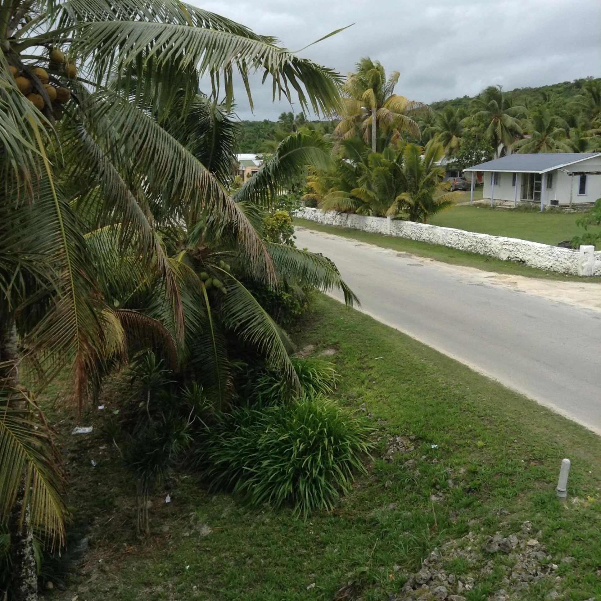 Natural landscape in Heleni Jessop's Fatahega
