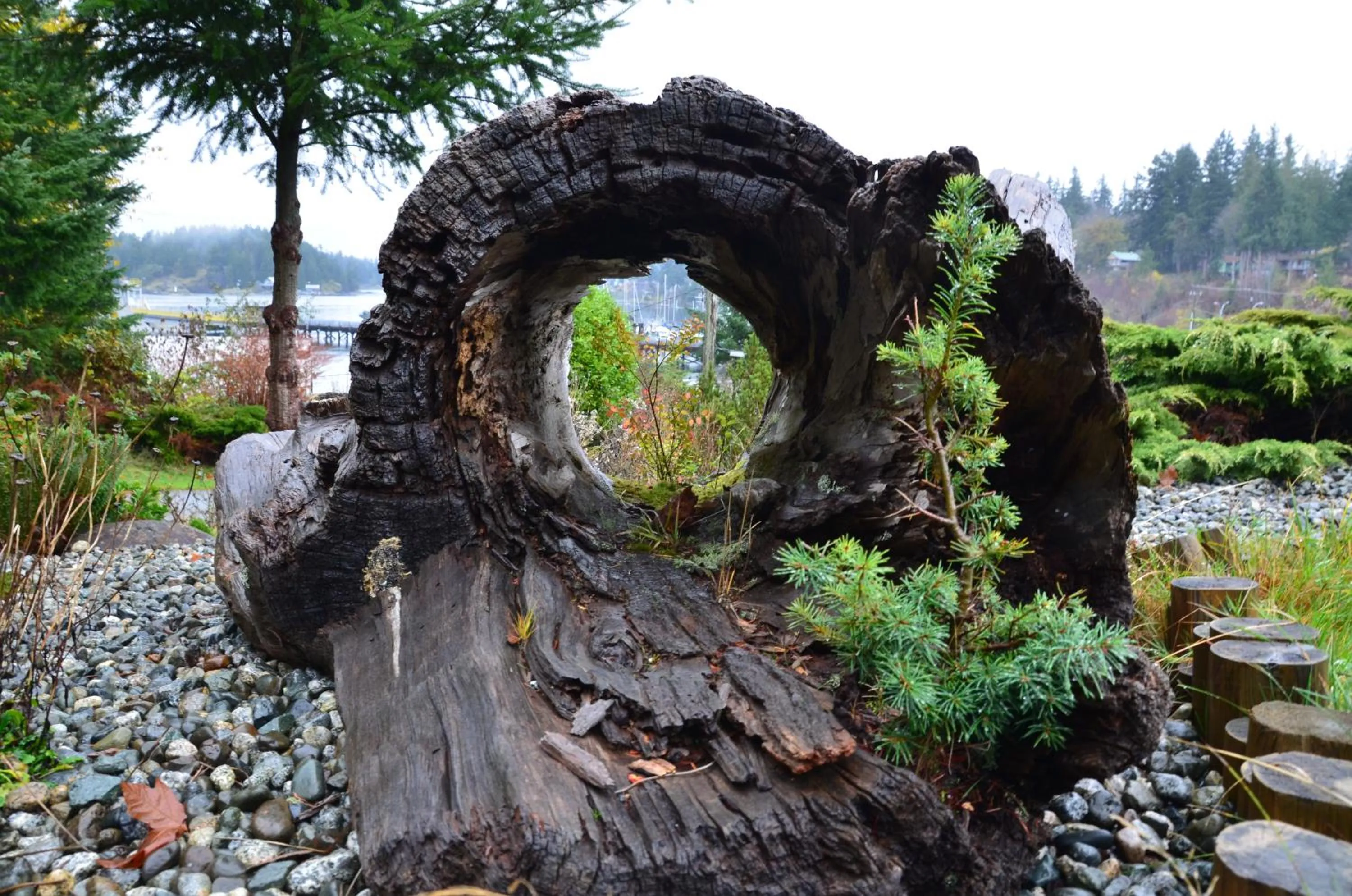 Garden in High Point Resort