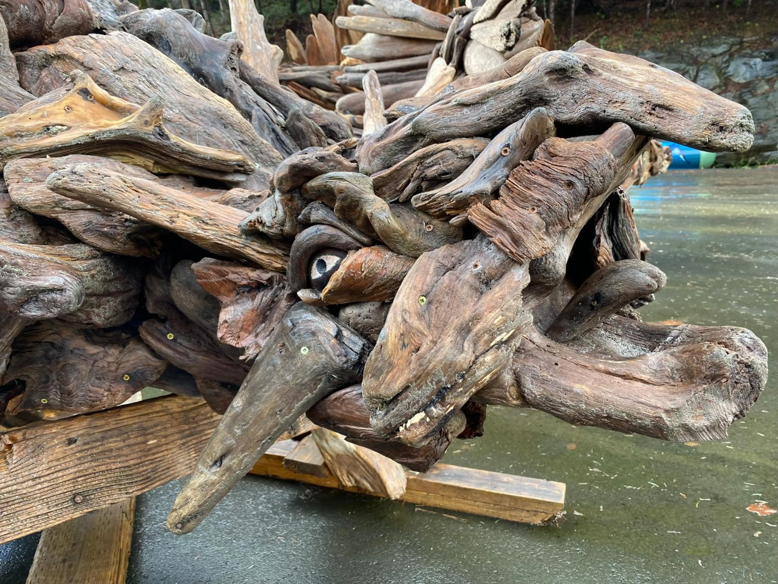 Animals in High Point Resort