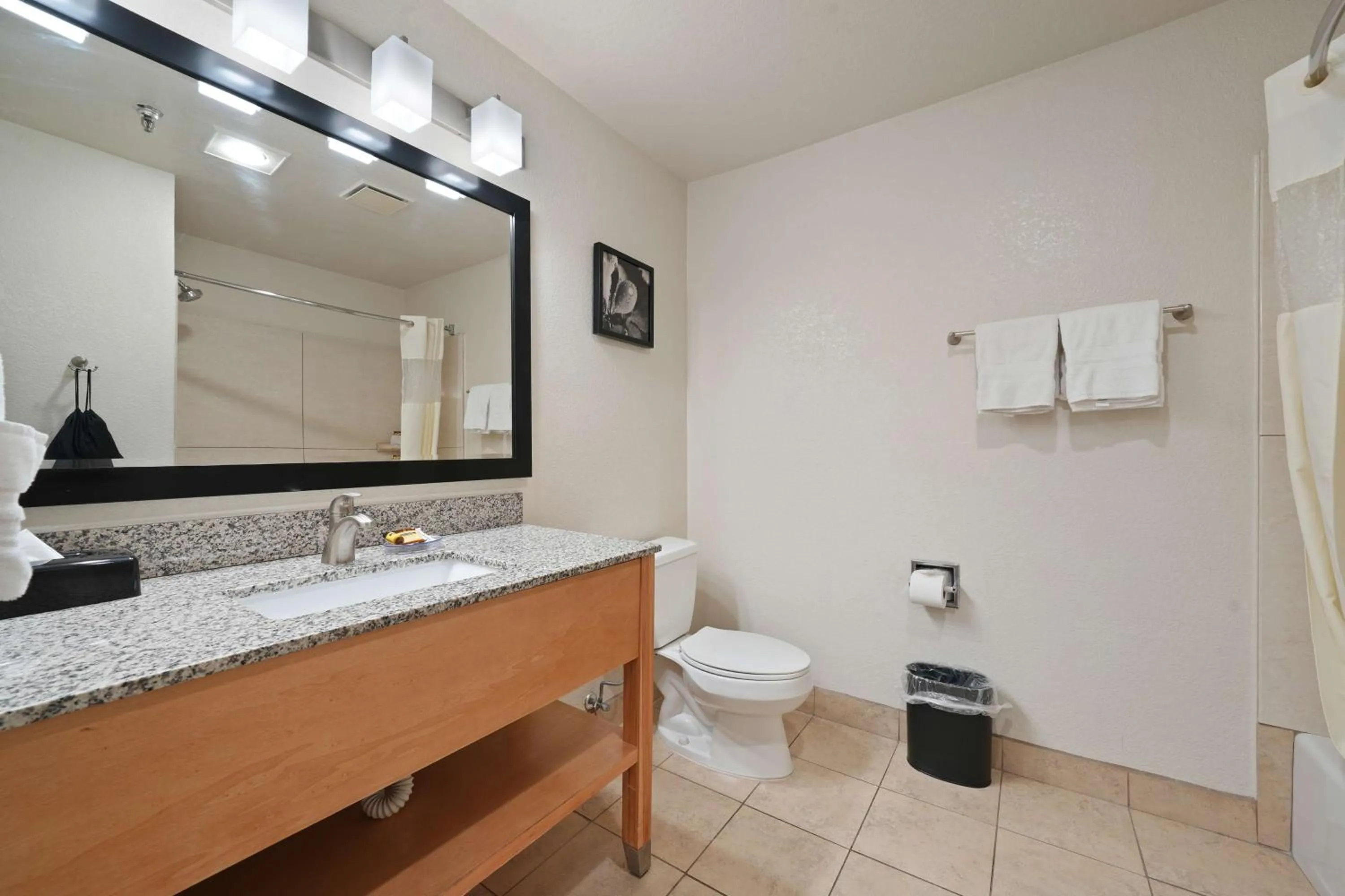 Bathroom in Best Western Plus Executive Inn & Suites