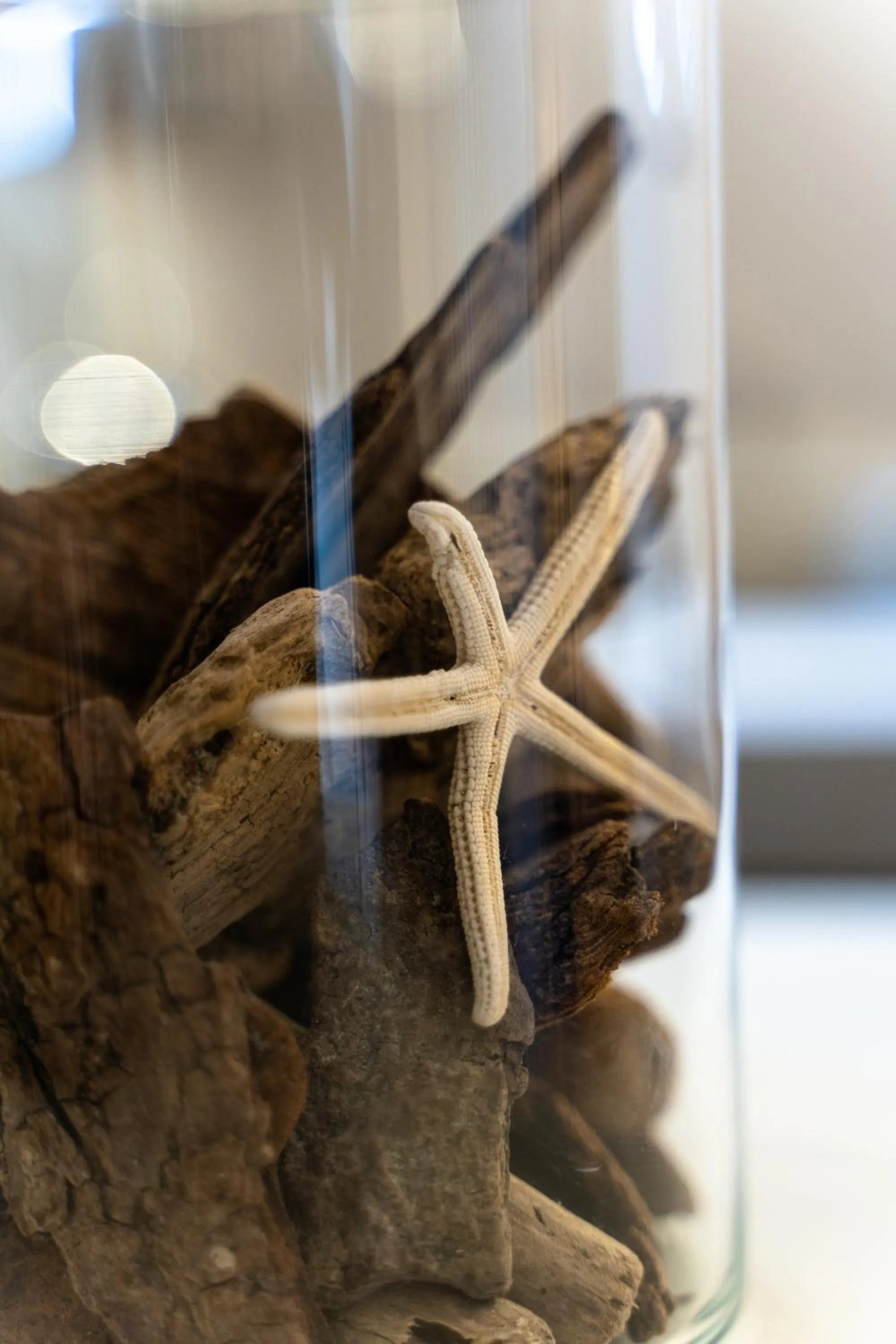 Stella Maris suite relax