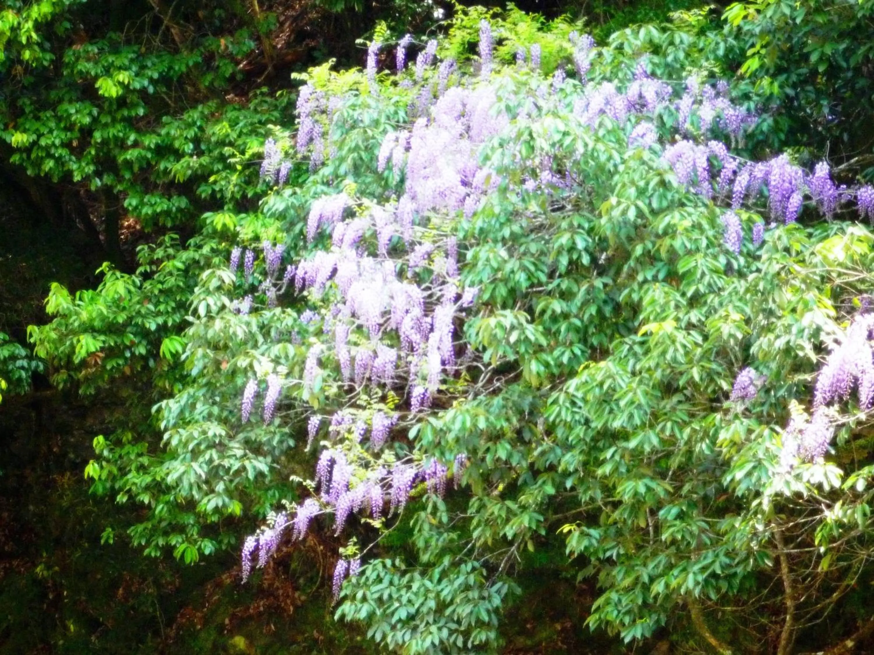 Other in Takao Kanko Hotel