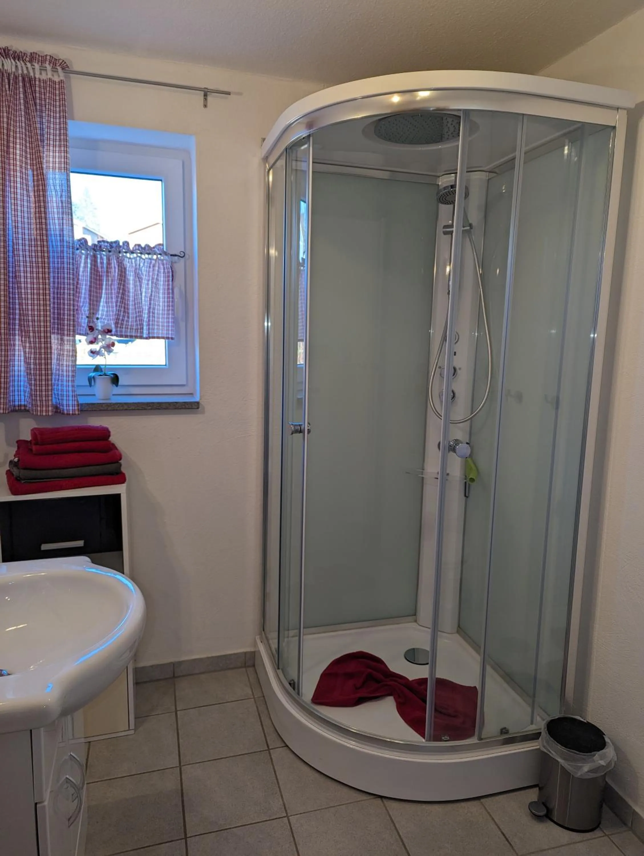 Shower in Appart-Hotel Harmonie