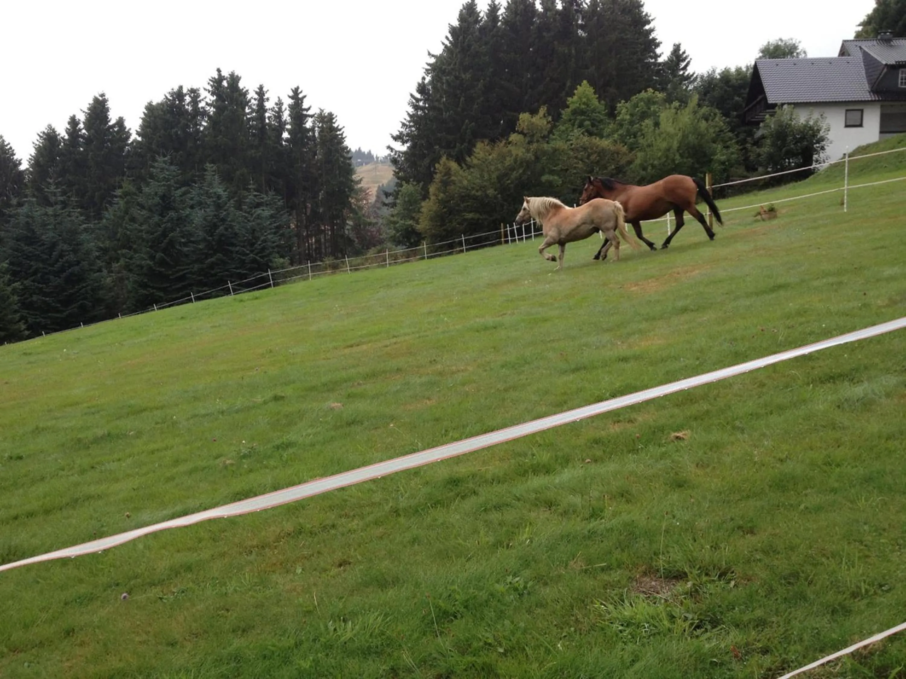 Other in Appart-Hotel Harmonie