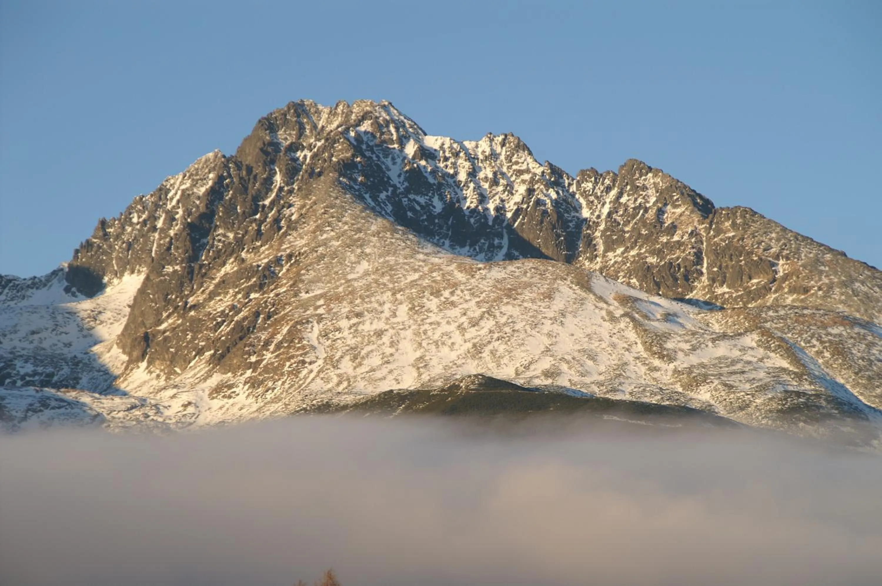View (from property/room) in Hotel Avalanche