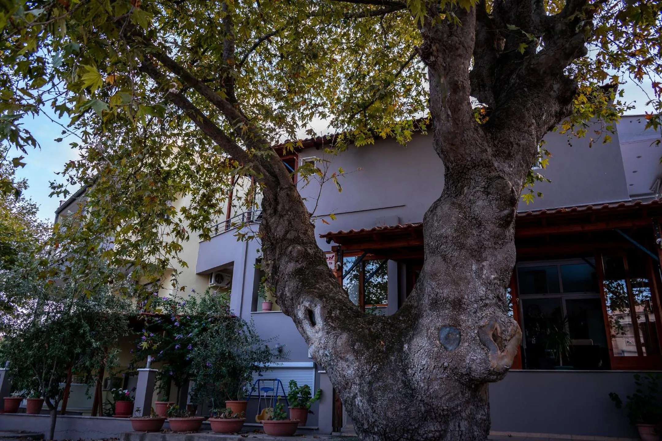 Property building in Kipos Resort