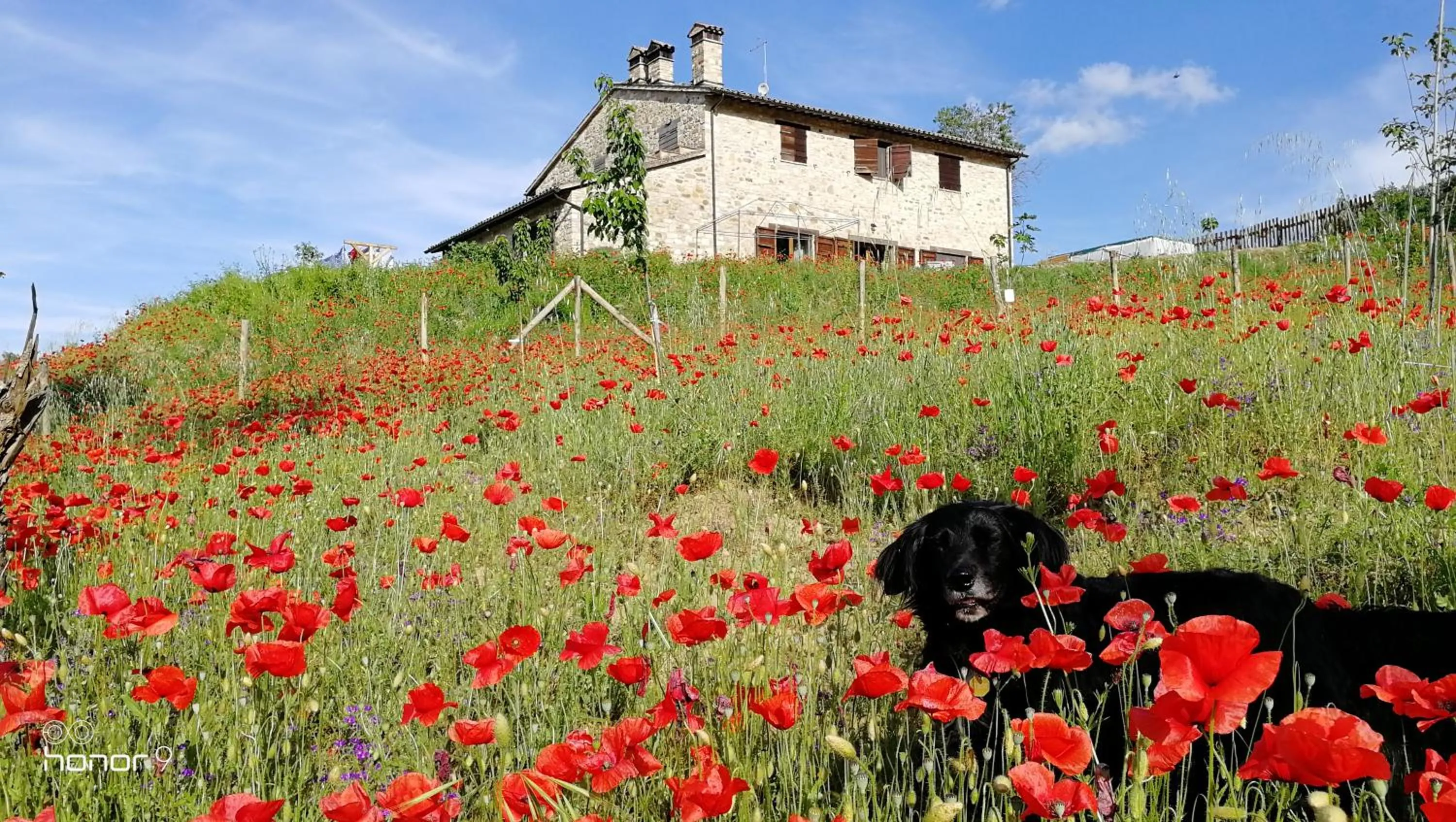 Property building in Casale Le Orme