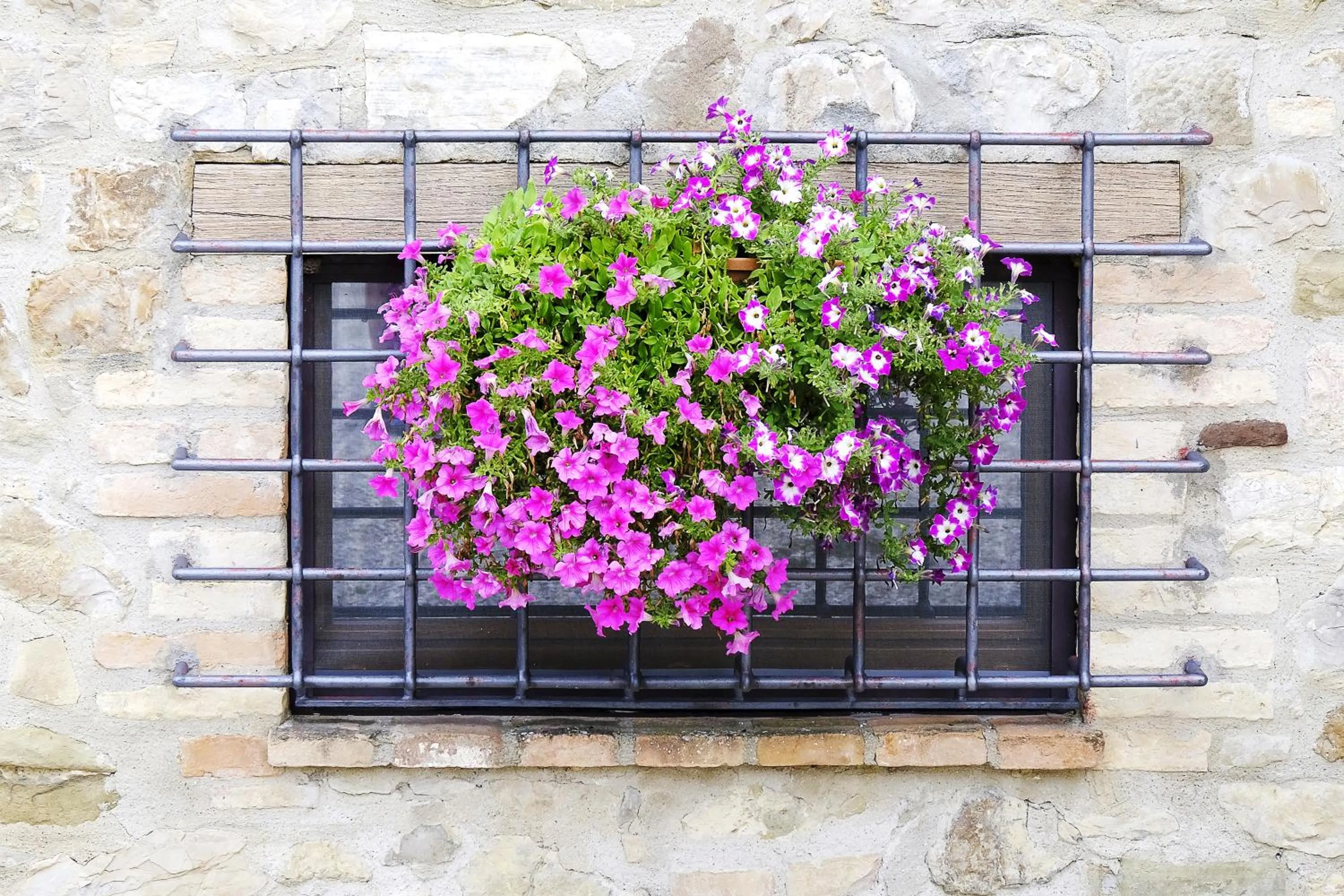 Facade/entrance in Casale Le Orme