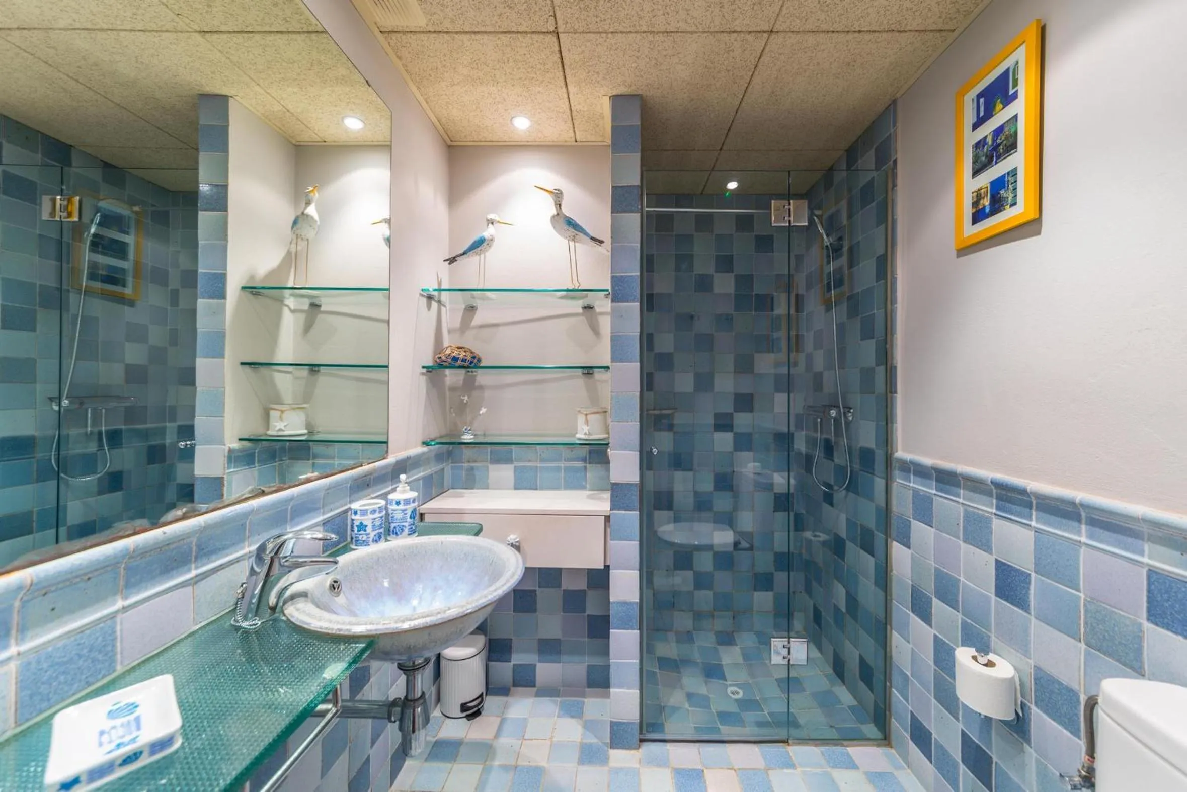 Shower in Apartment Diana