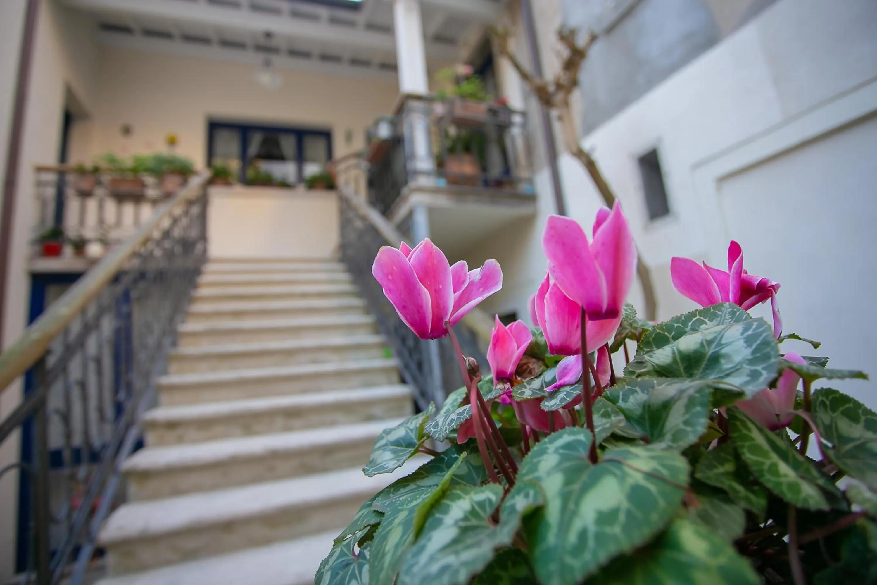 Garden in B&B La Corte