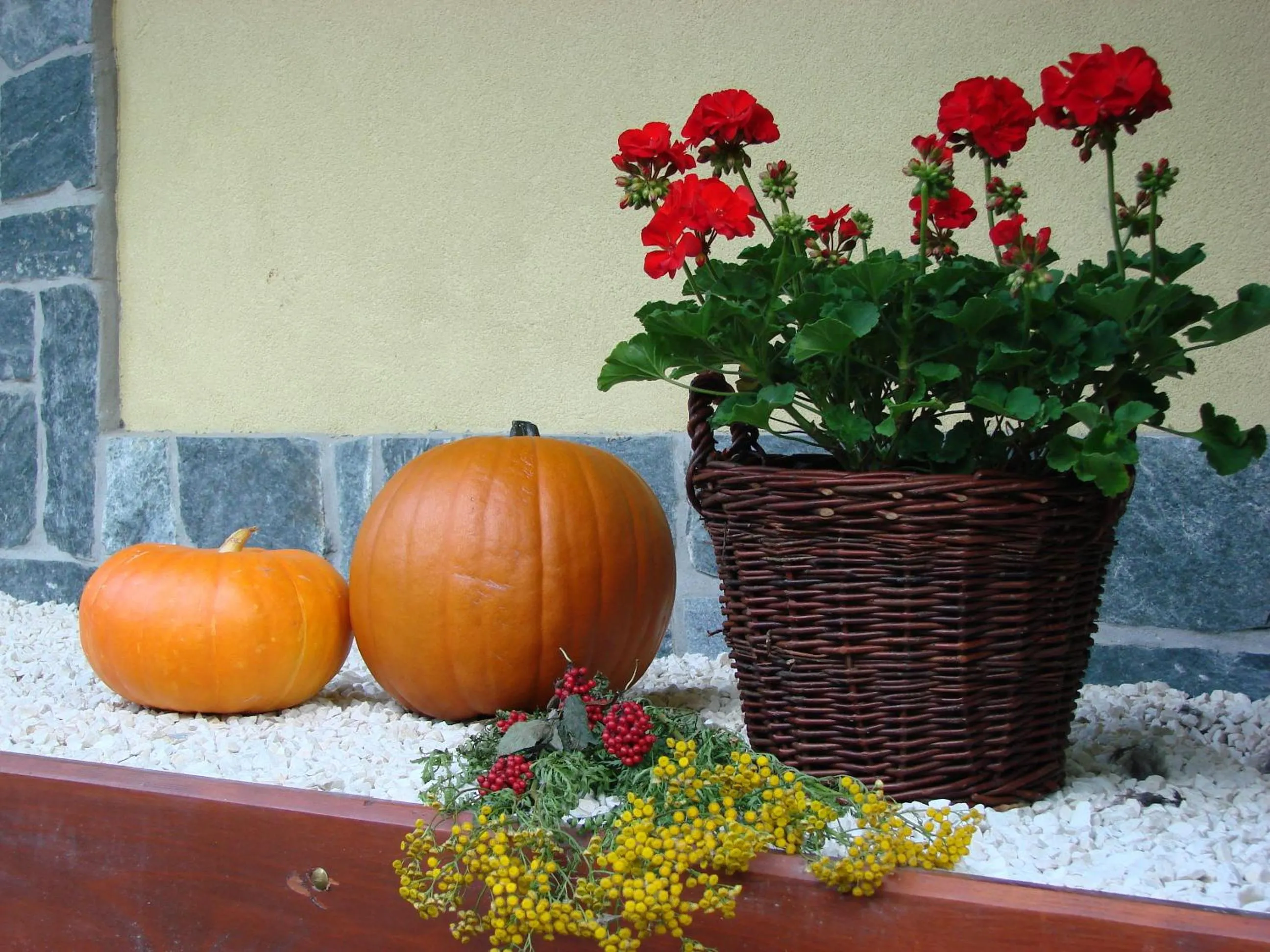 Food in Apartamenty Convallis