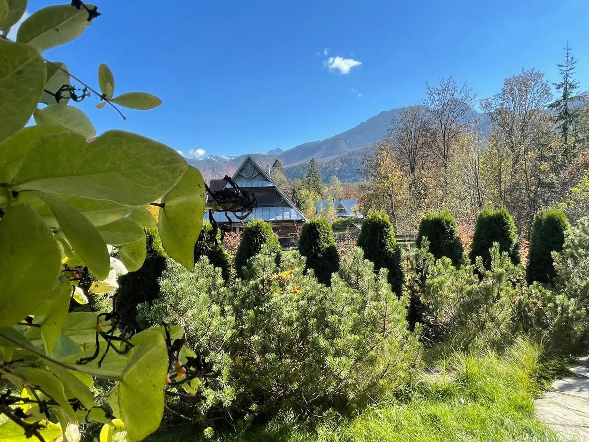 Mountain view in Apartamenty Convallis