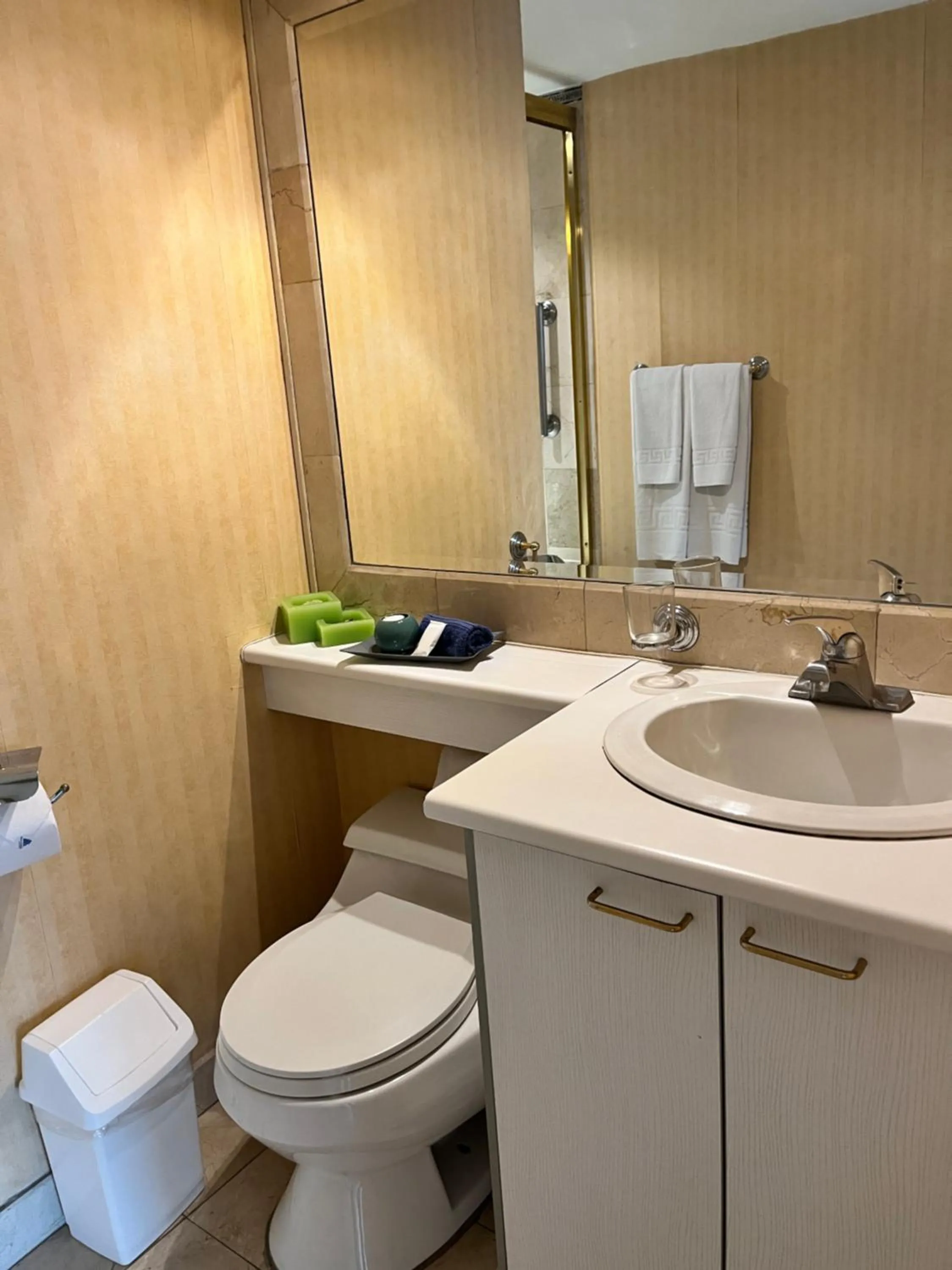 Bathroom in BlueZone Apartments