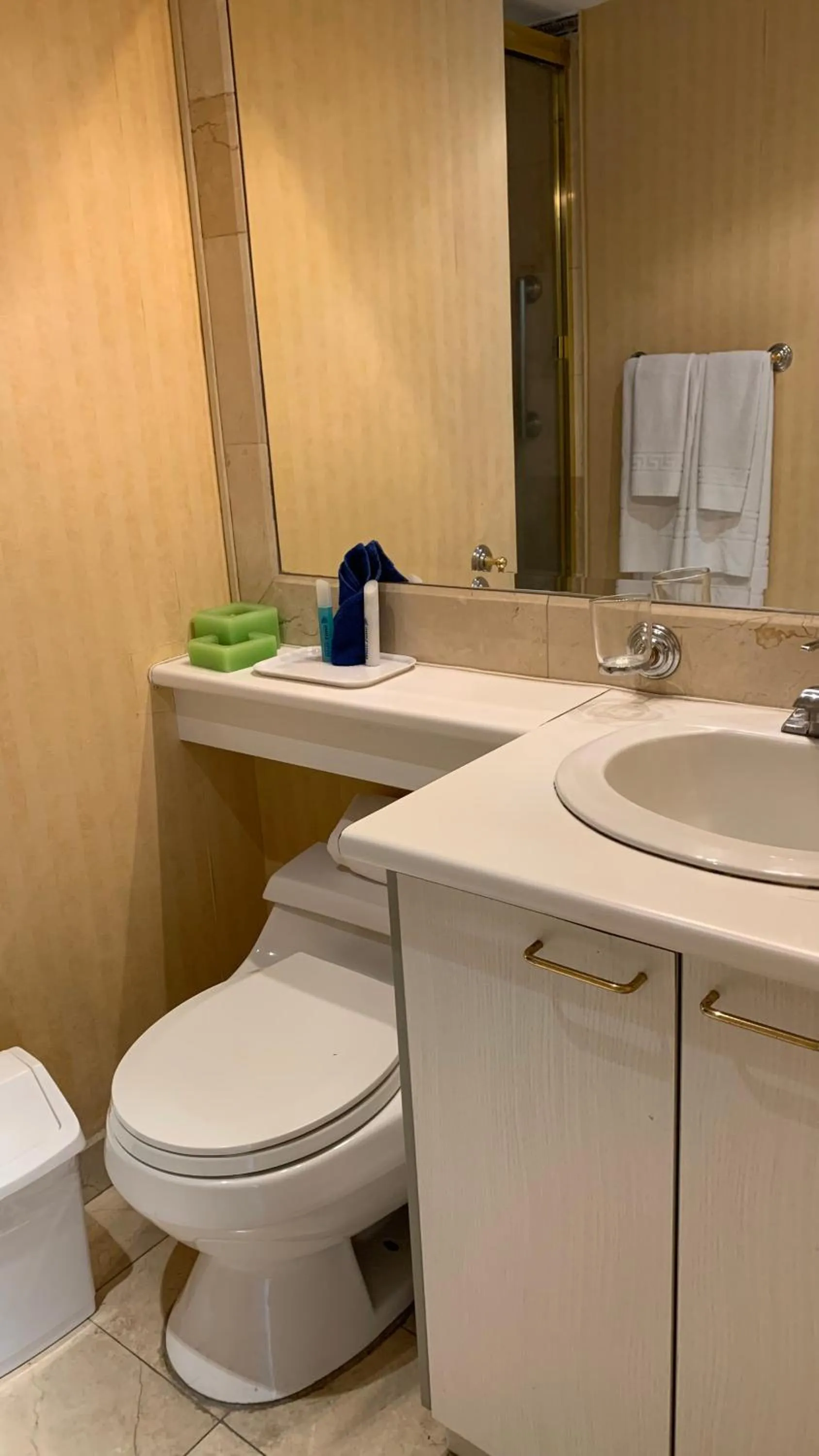 Bathroom in BlueZone Apartments