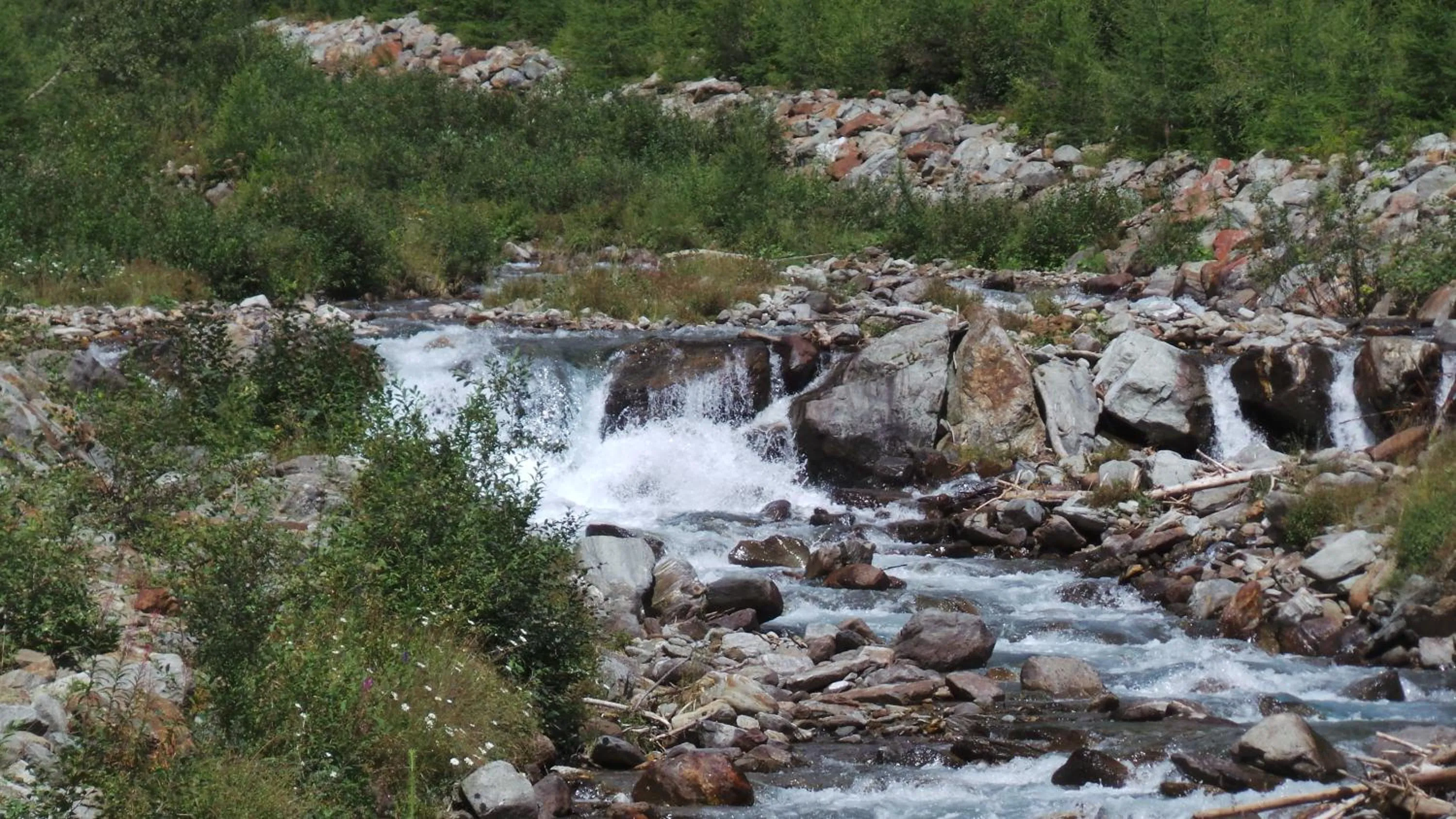 Fishing in Hotel Bella di Bosco