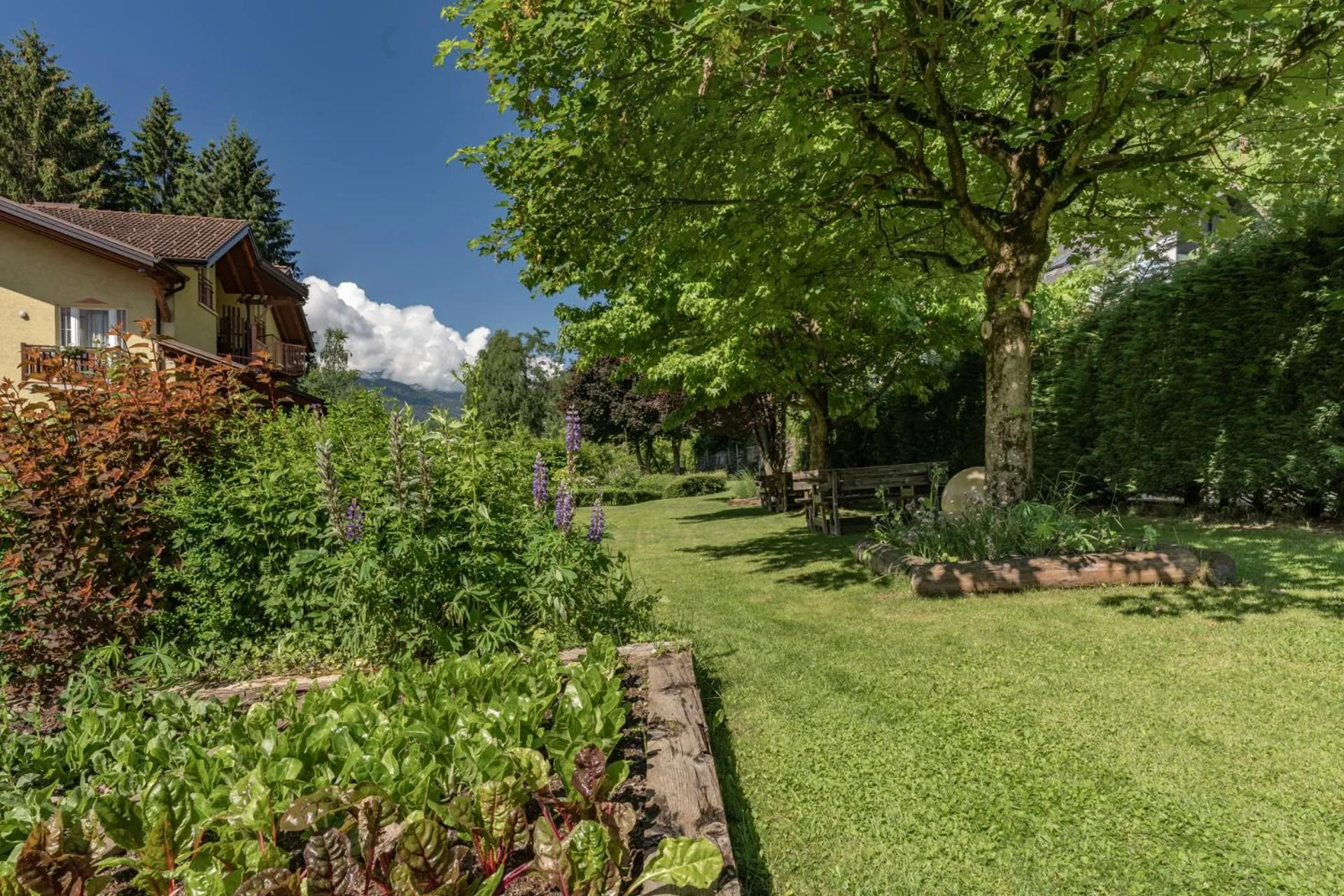 Property building in Hotel Bella di Bosco