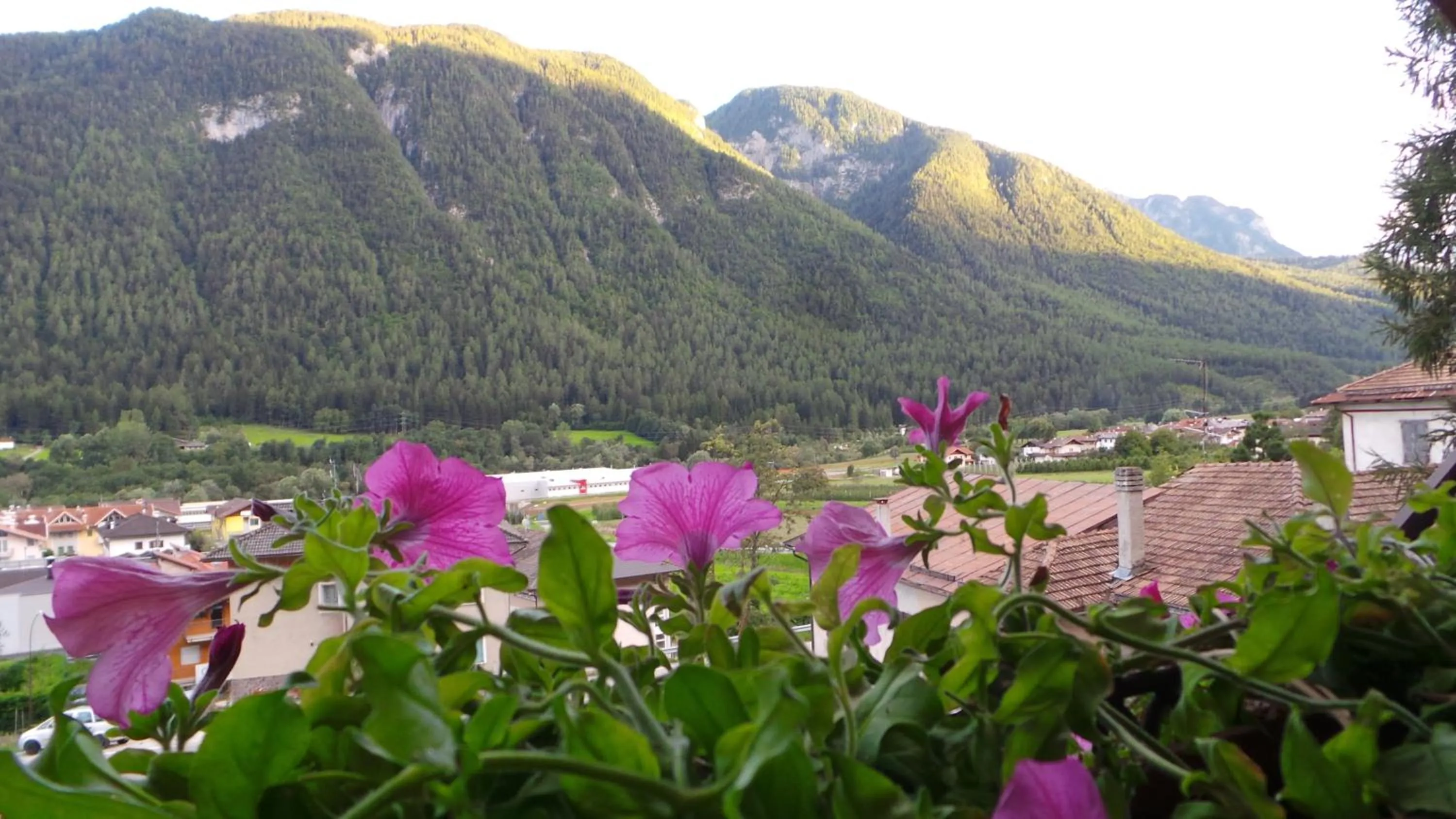 Day in Hotel Bella di Bosco