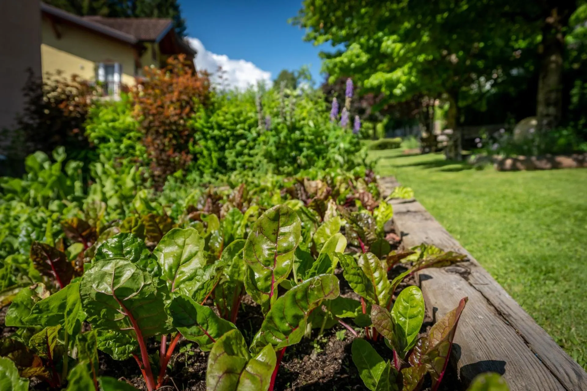 Day in Hotel Bella di Bosco