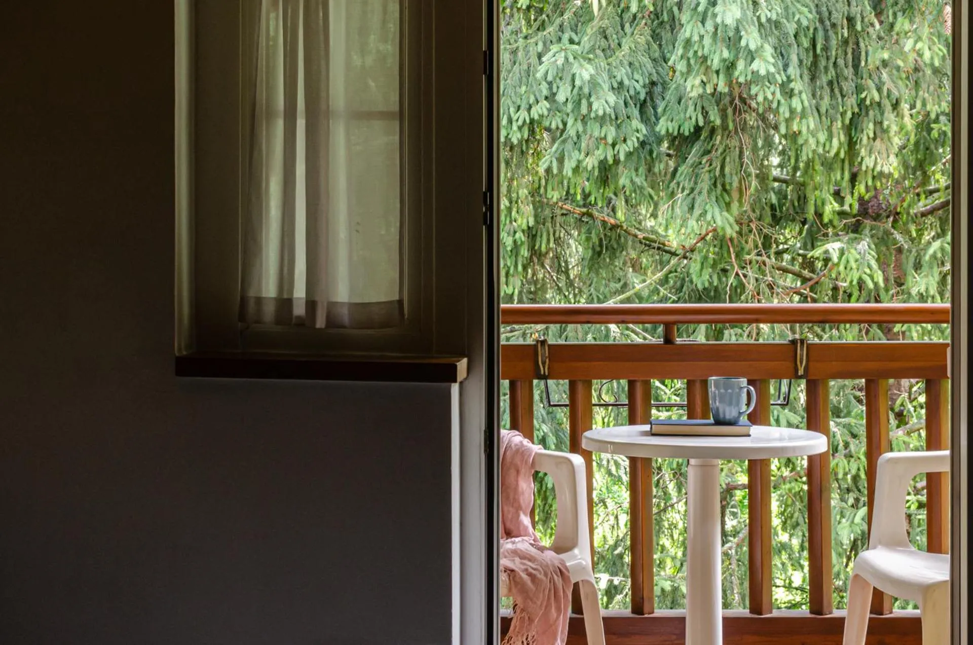 Garden in Hotel Bella di Bosco