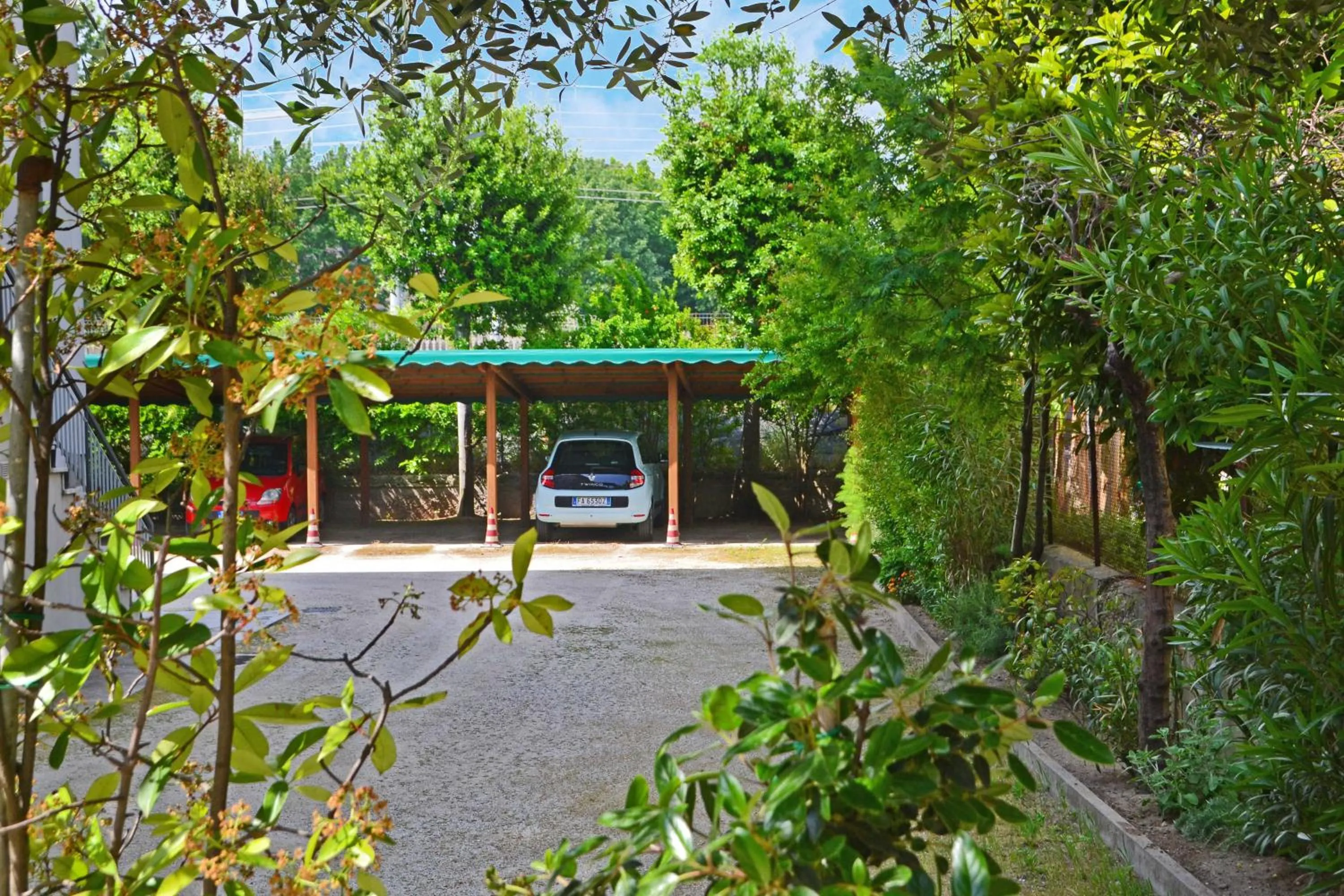 Area and facilities in Hotel Ivana