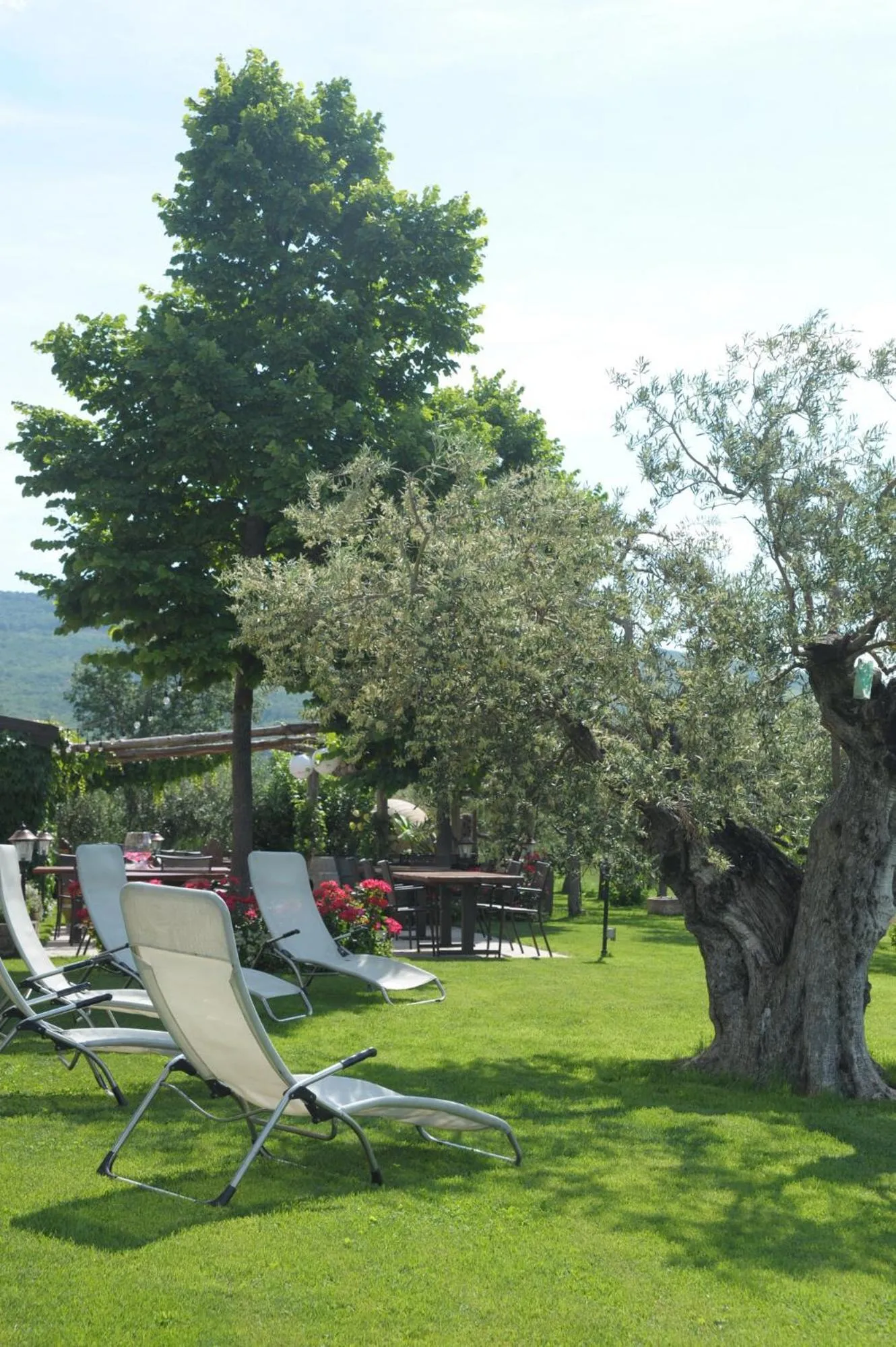 Agriturismo Sol De Montalto