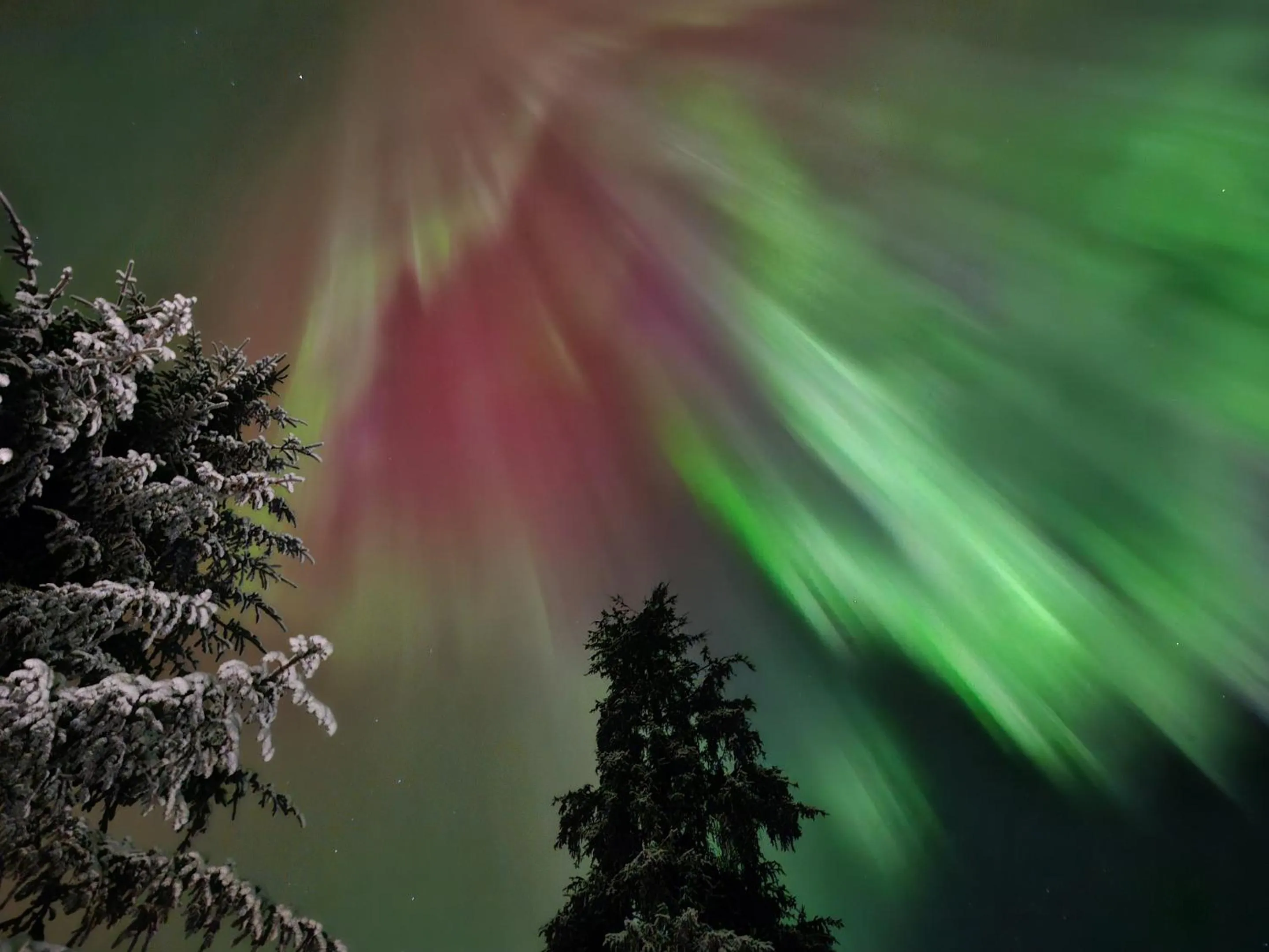 Activities in Carriage House Accommodations