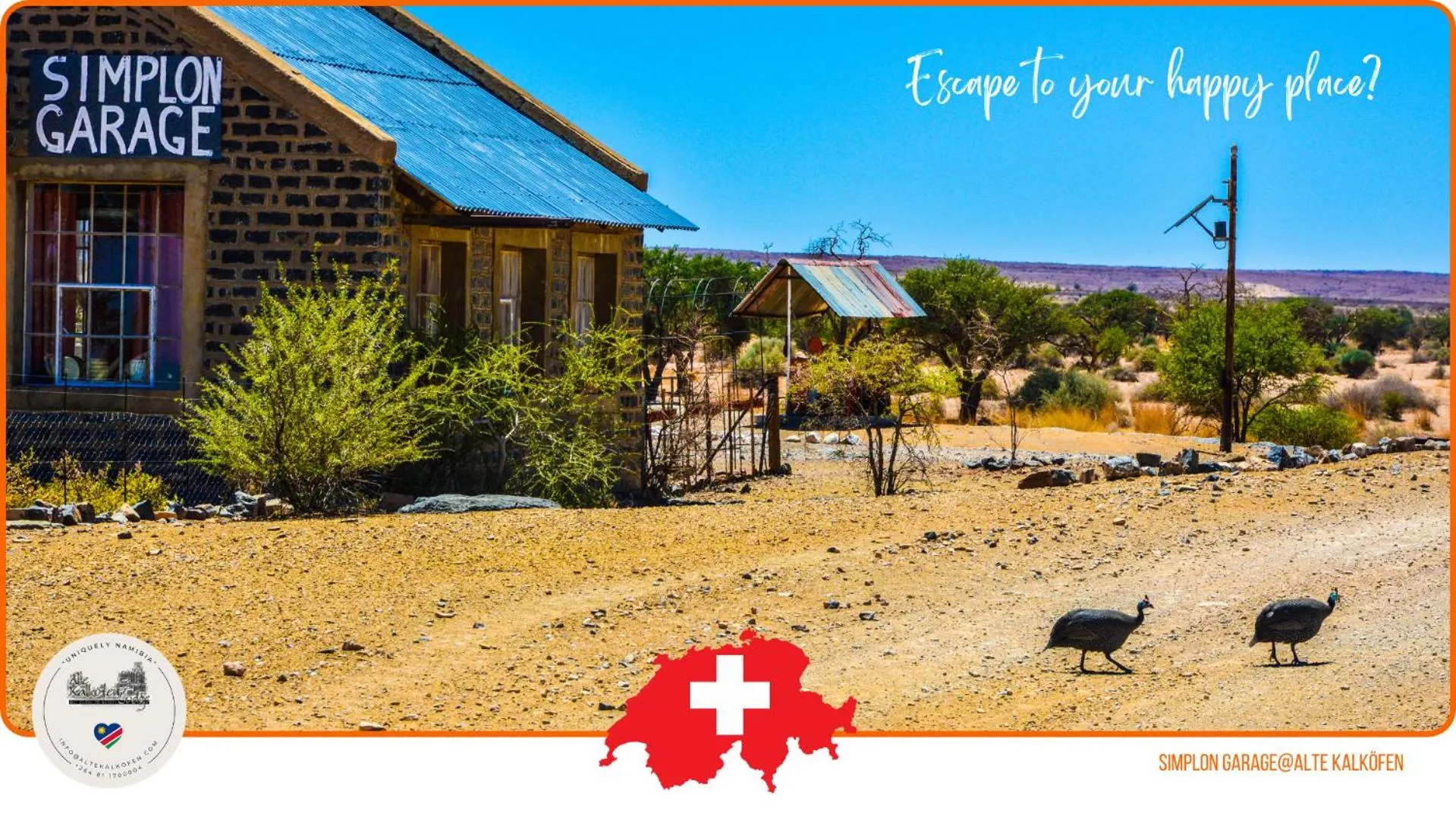 Animals in Alte Kalkoefen Lodge