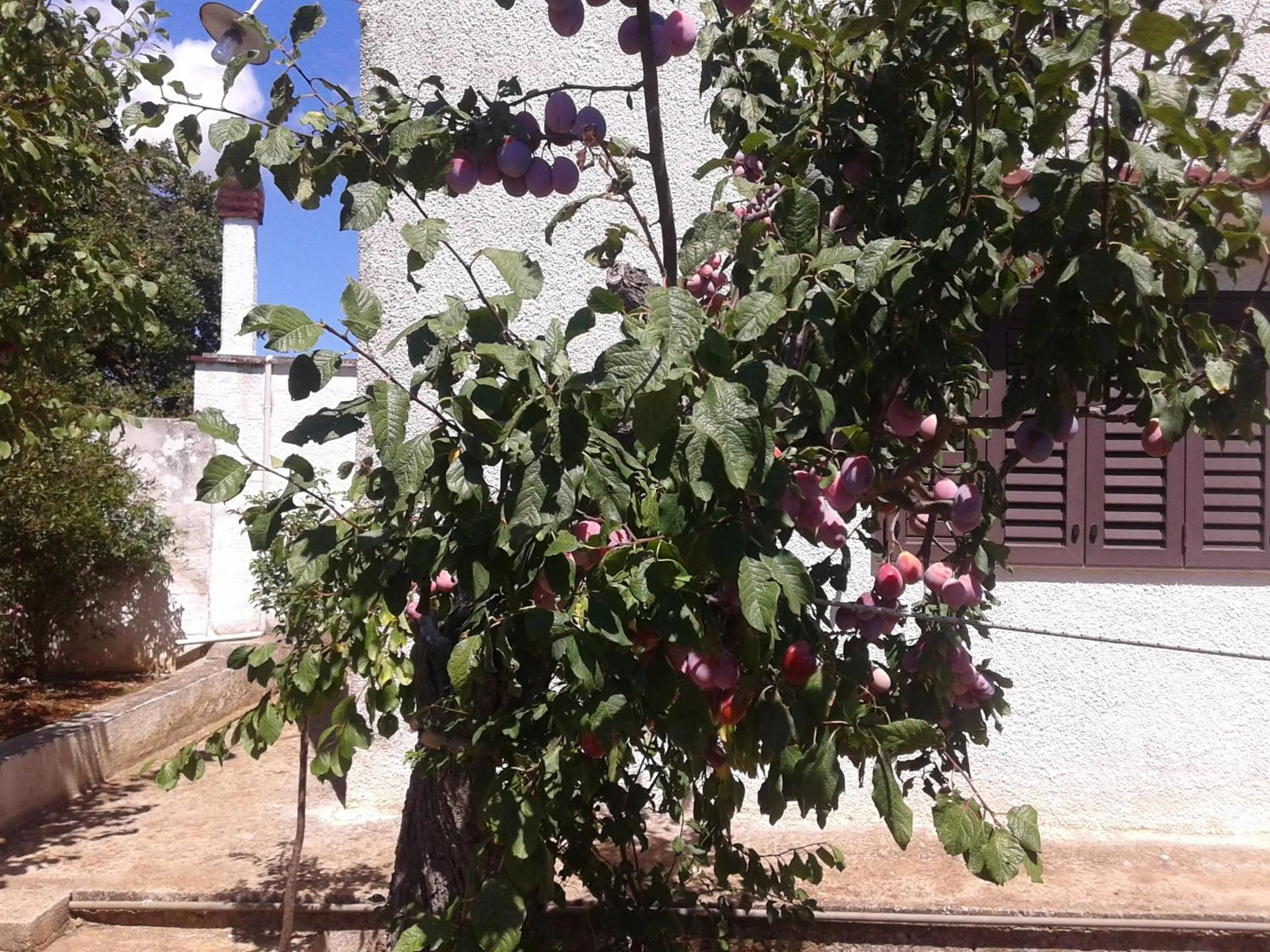 Decorative detail in B&B Bell'aria