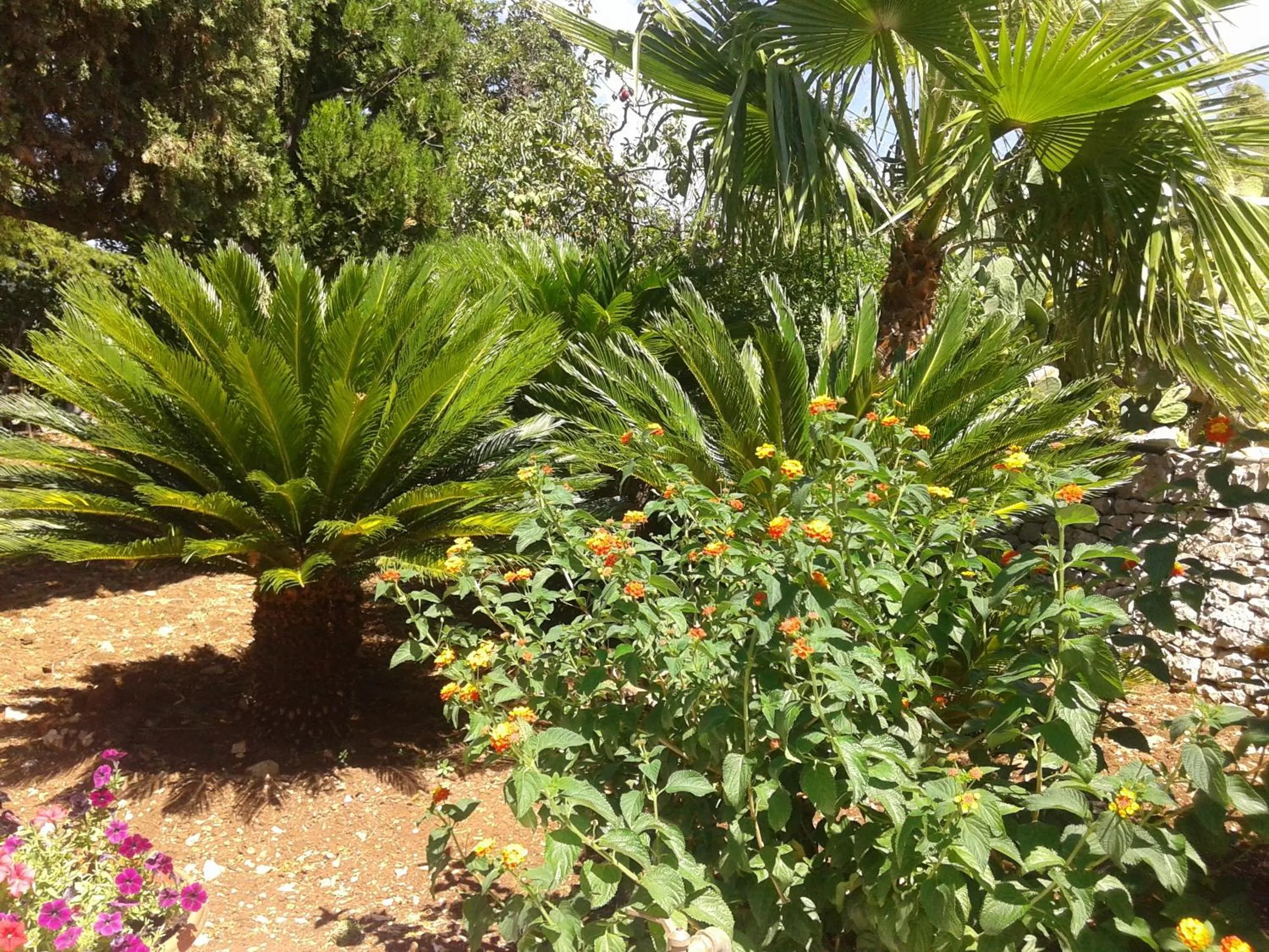 Garden in B&B Bell'aria