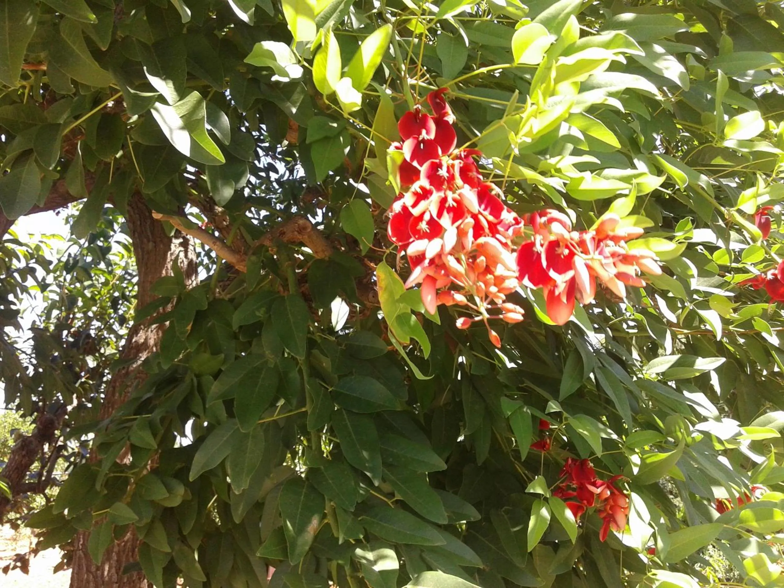 Decorative detail in B&B Bell'aria