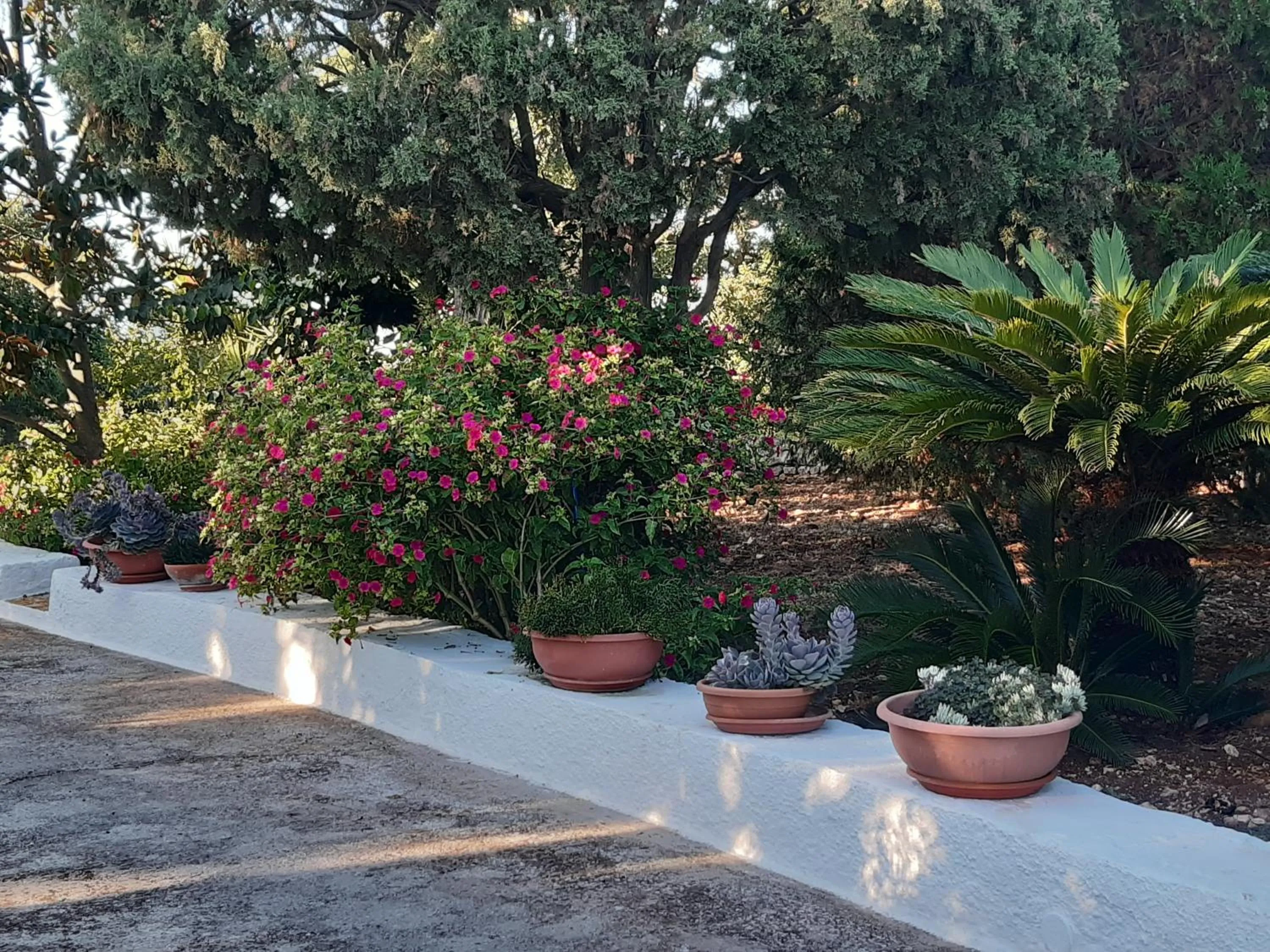 Property building in B&B Bell'aria