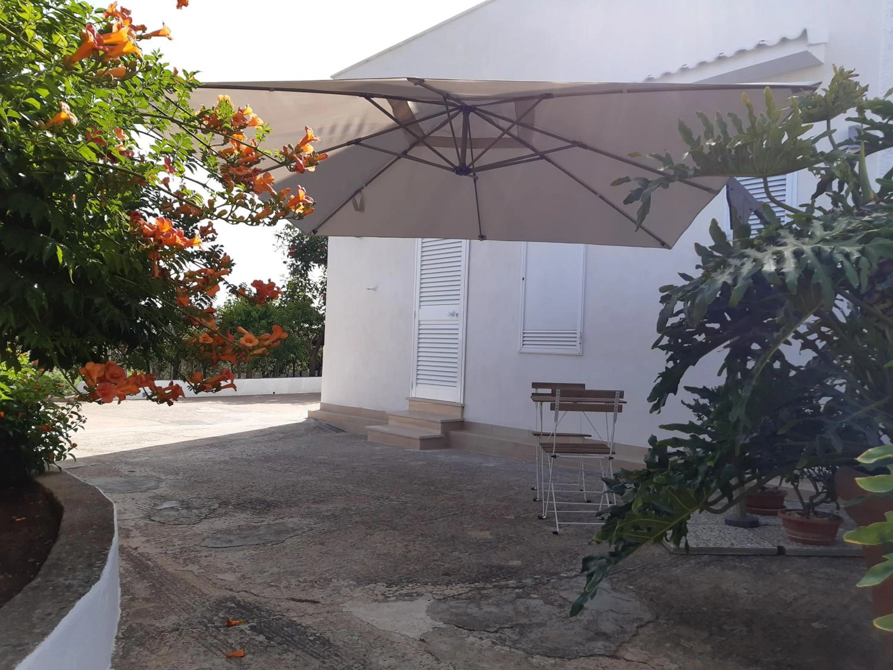 Property building in B&B Bell'aria