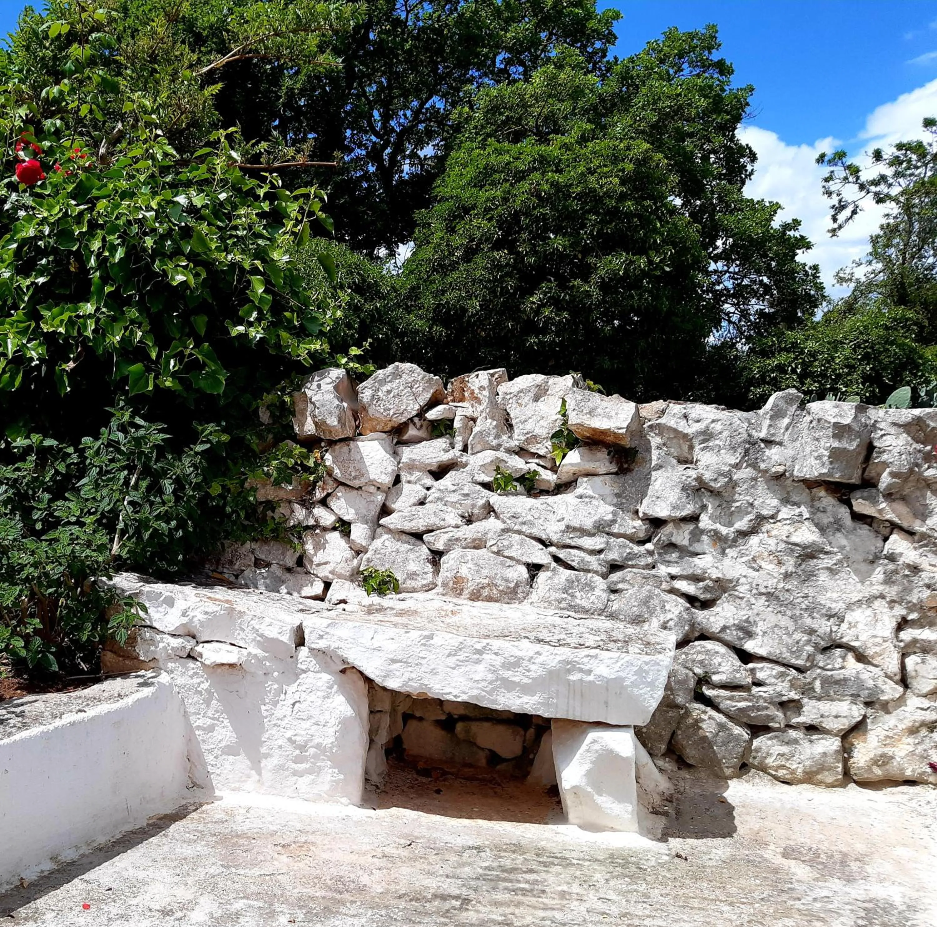 Garden in B&B Bell'aria